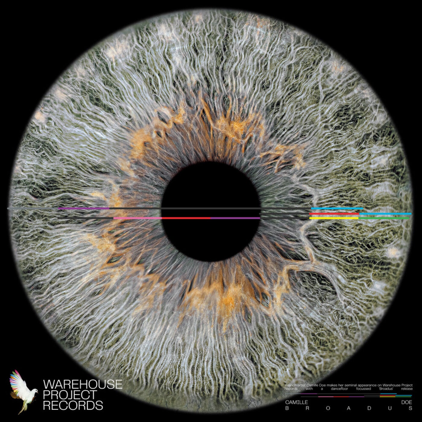 Cover - Camille Doe - Broadus (Extended)