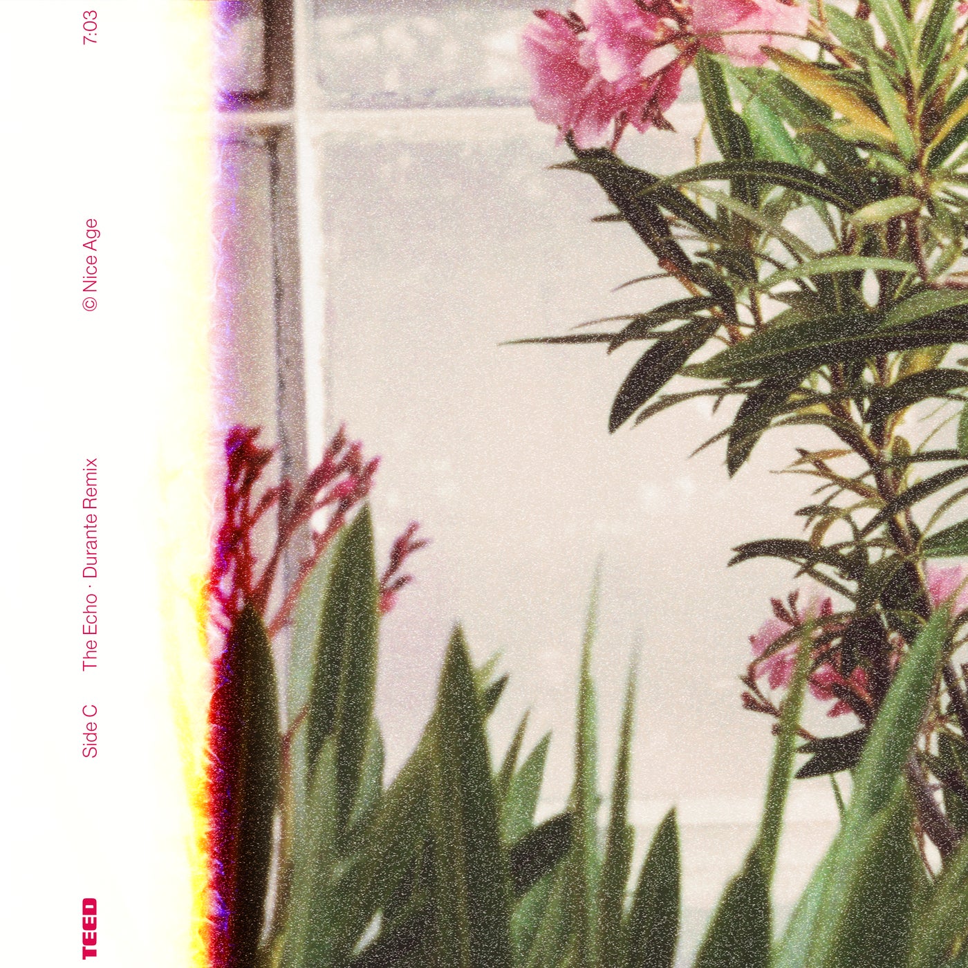 Cover - Durante, TEED - The Echo (Durante Remix)