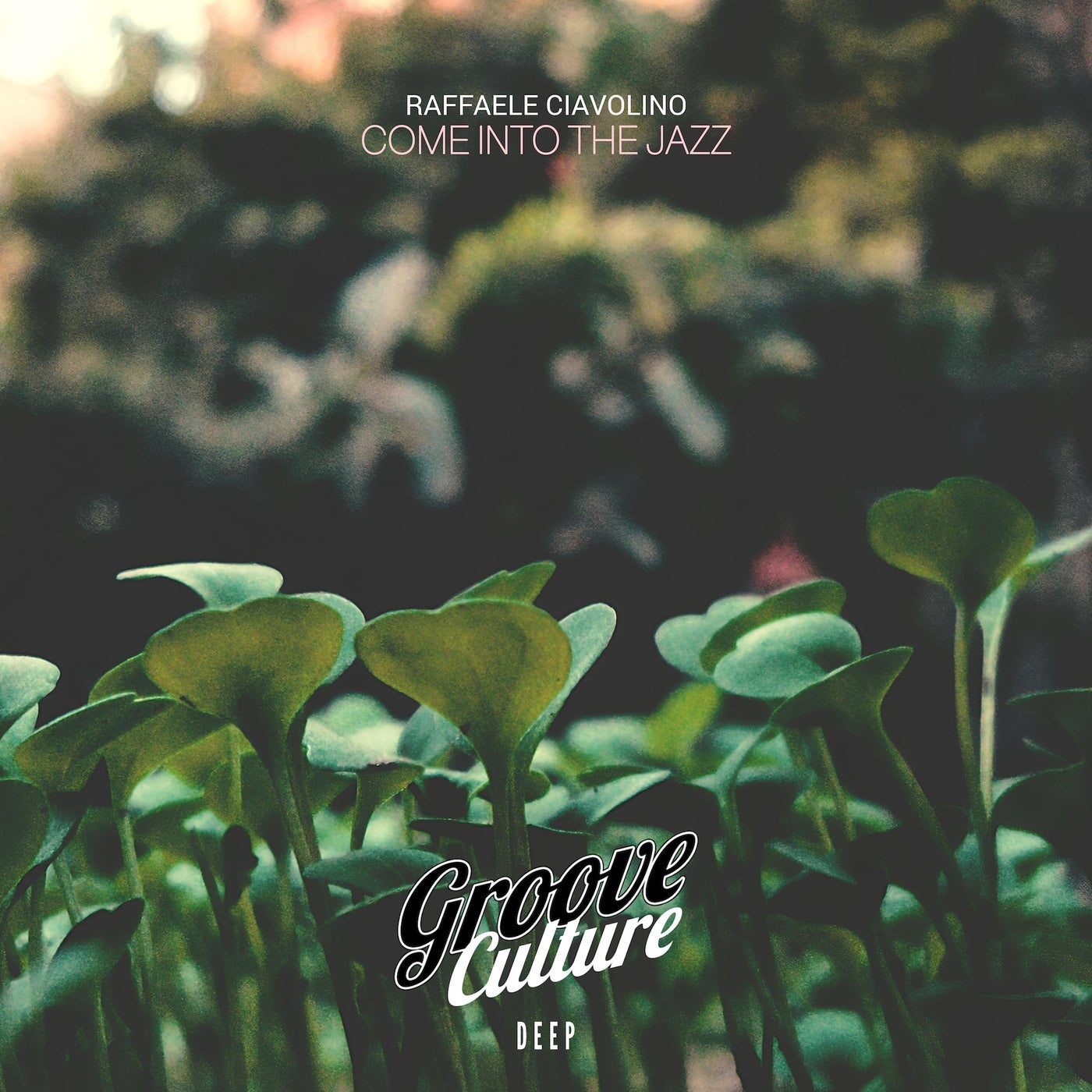Cover - Raffaele Ciavolino - Love Is Special (Extended Mix) Promo tools