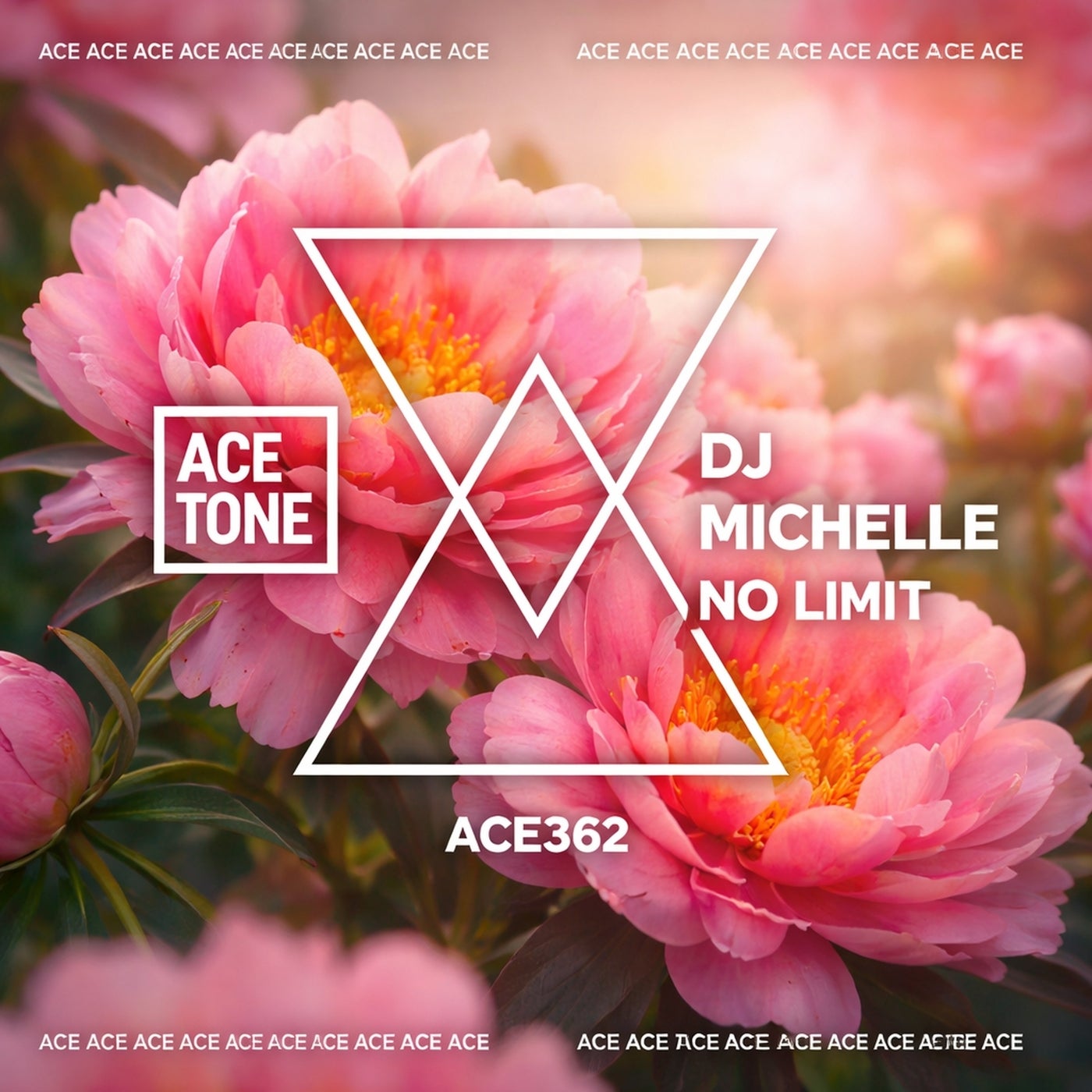 Cover - Dj Michelle (IT) - No Limit (Original Mix) Promo tools