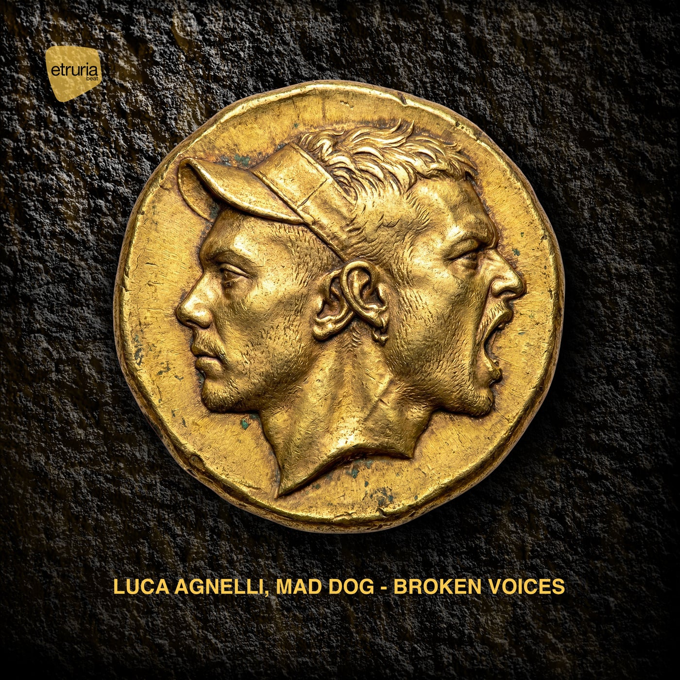 Cover - Luca Agnelli, Dj Mad Dog - Broken Voices (Original Mix) Promo tools