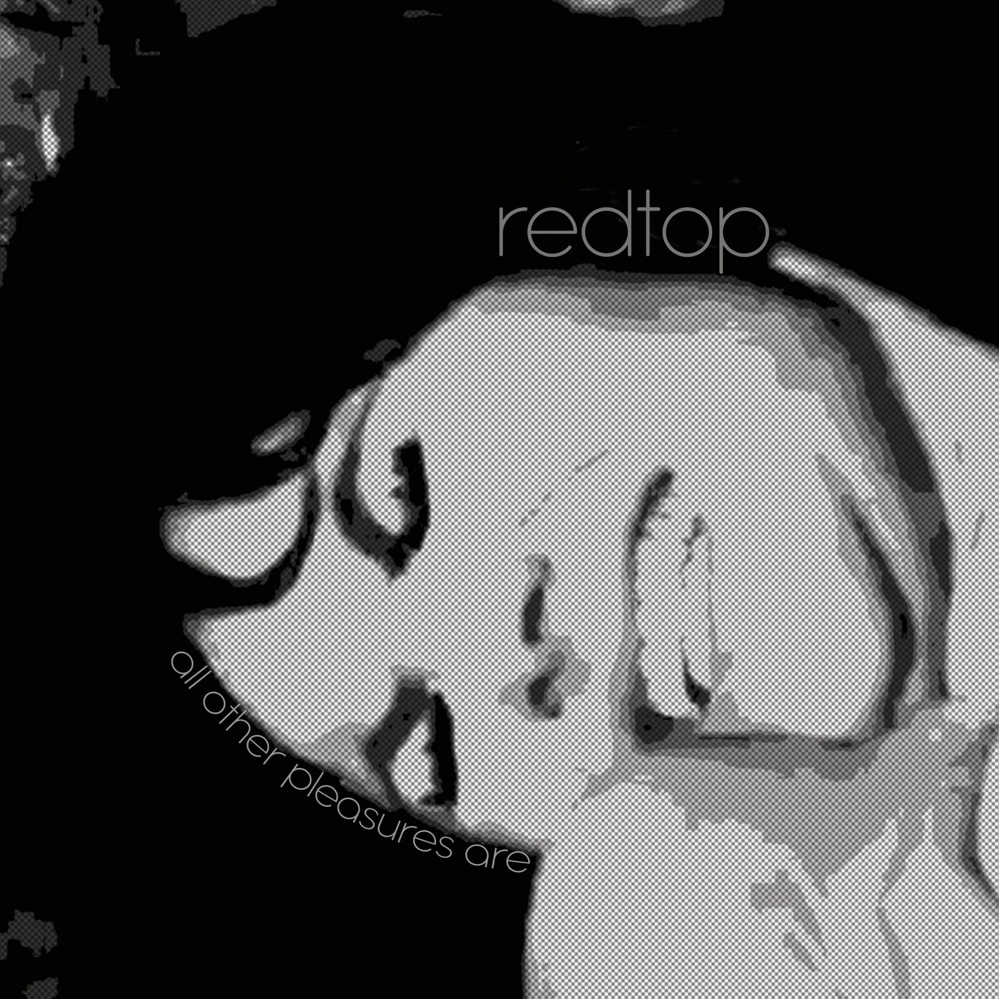 Cover - Redtop - All Other Pleasures Are (The Machine Soul Remix) Promo tools