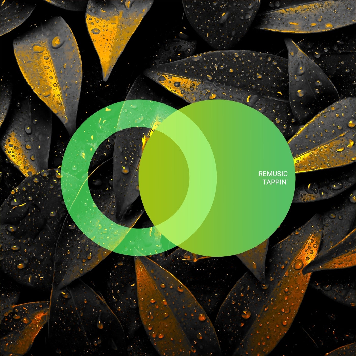 Cover - Remusic - La Cota (Original Mix)