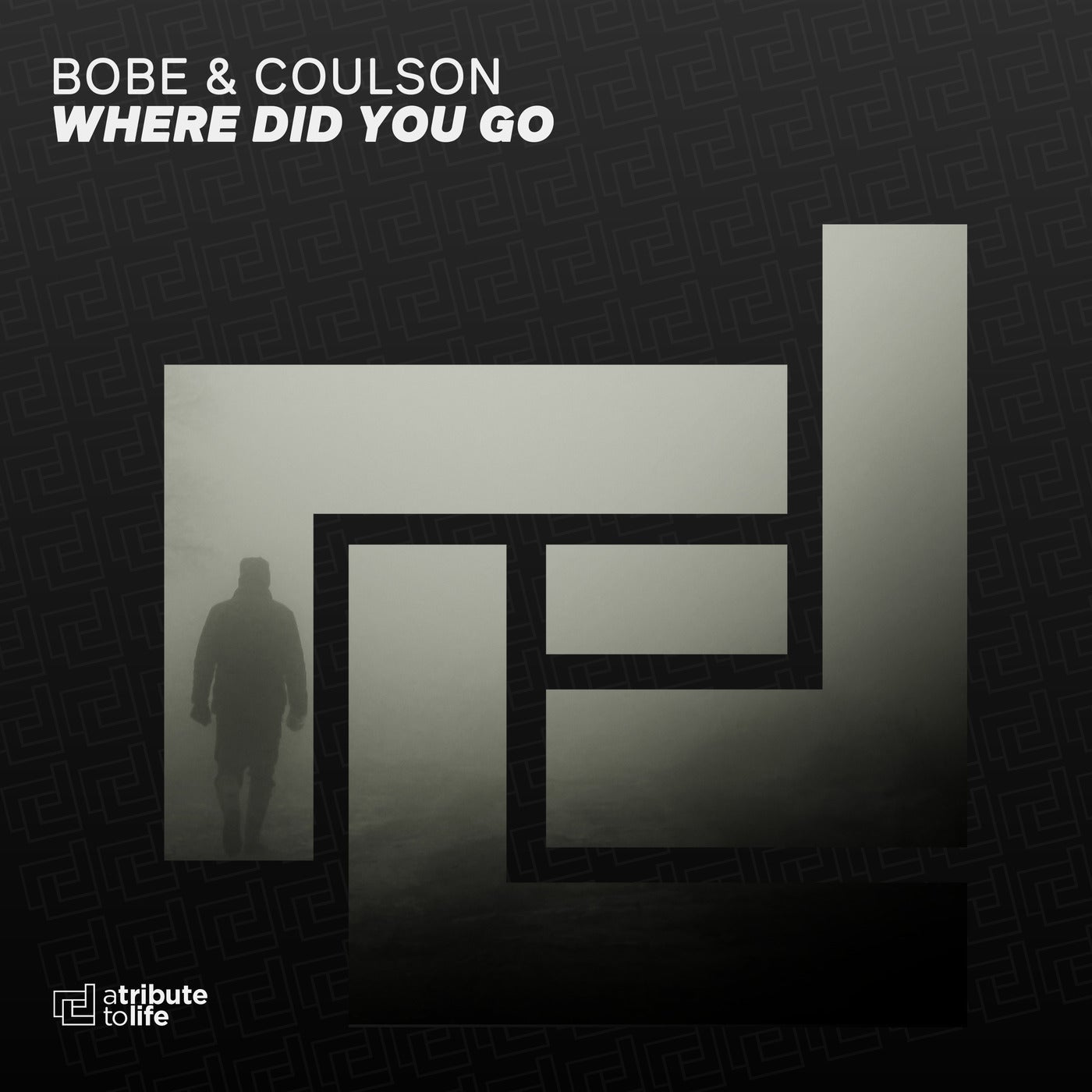 Cover - Coulson, BOBE - Where Did You Go (Extended Mix) Promo tools