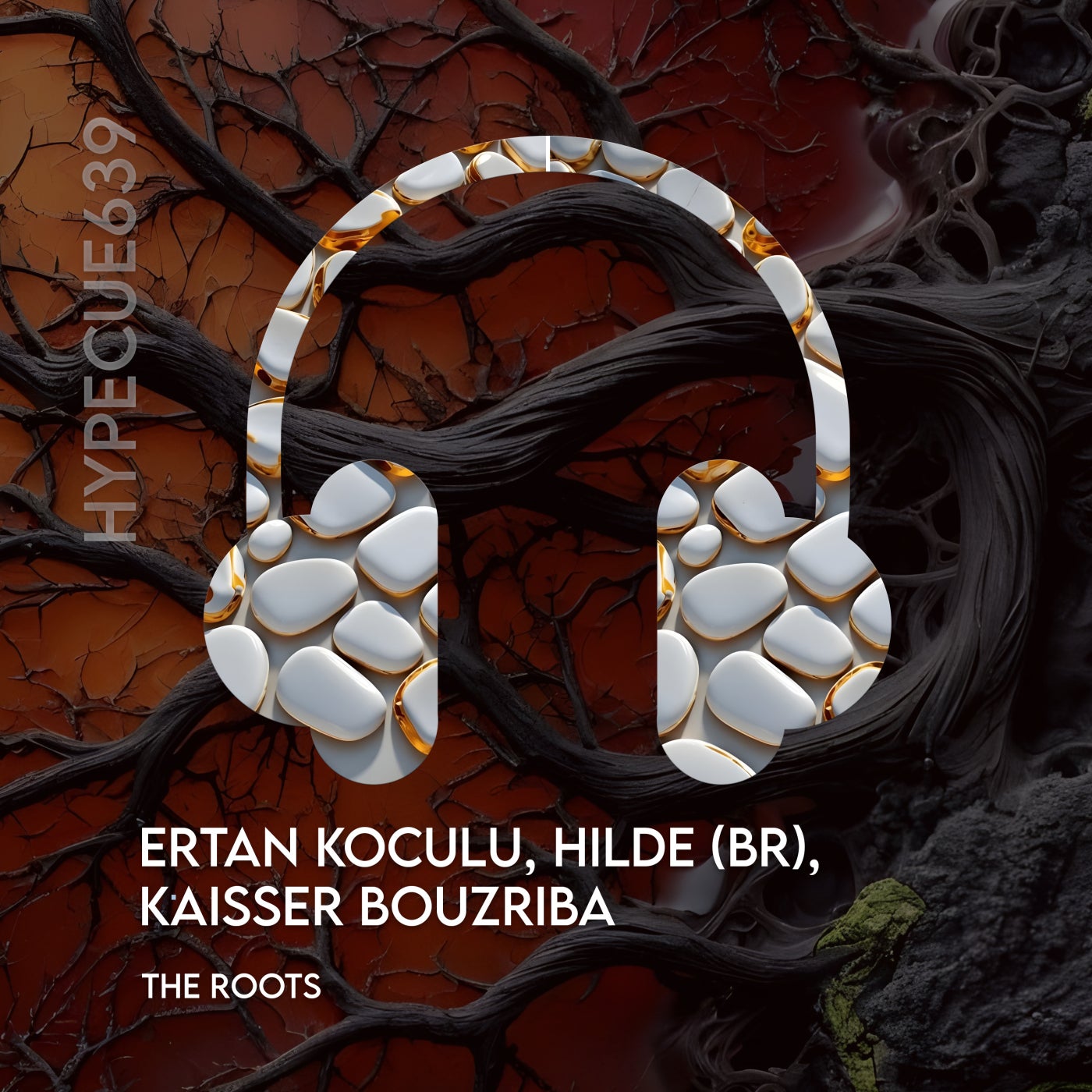 Cover - Ertan Koculu, Hilde (BR), Kaisser Bouzriba - The Roots (Original Mix) Promo tools