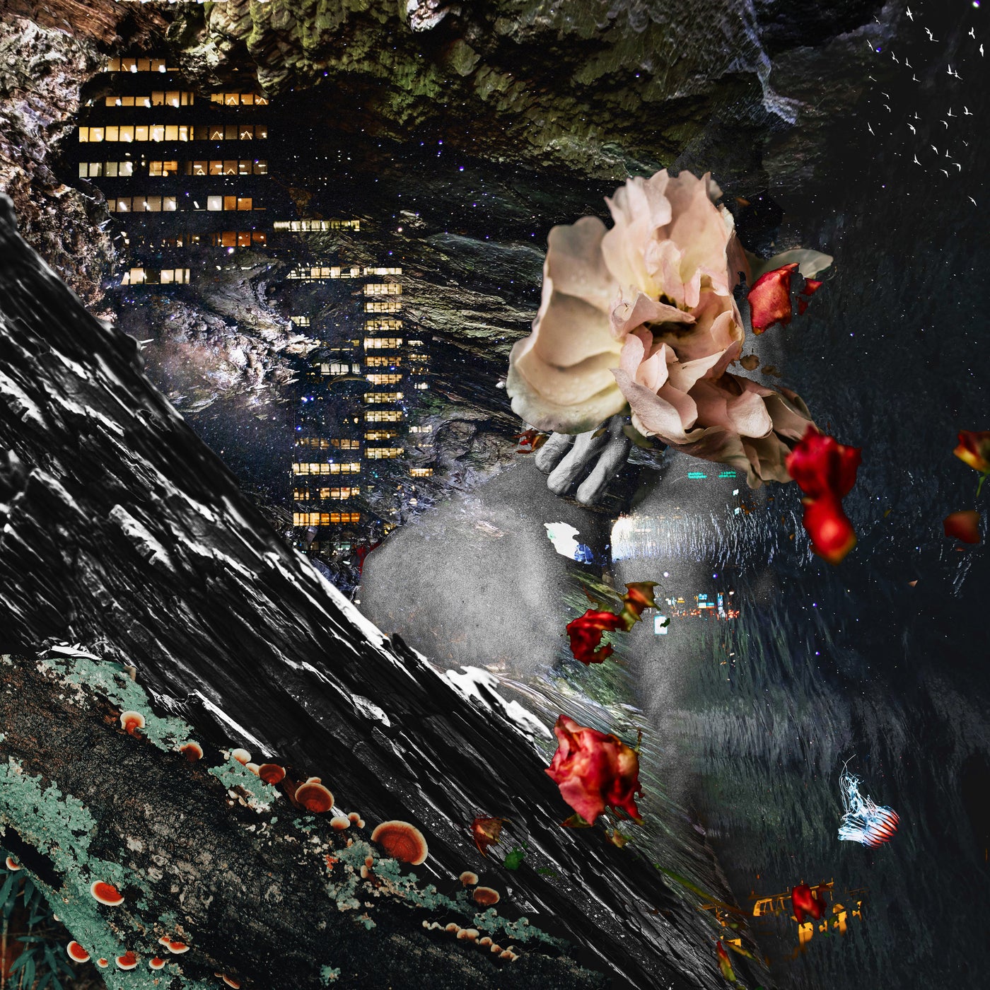 Cover - KaioBarssalos - Baldo (Original Mix) Promo tools