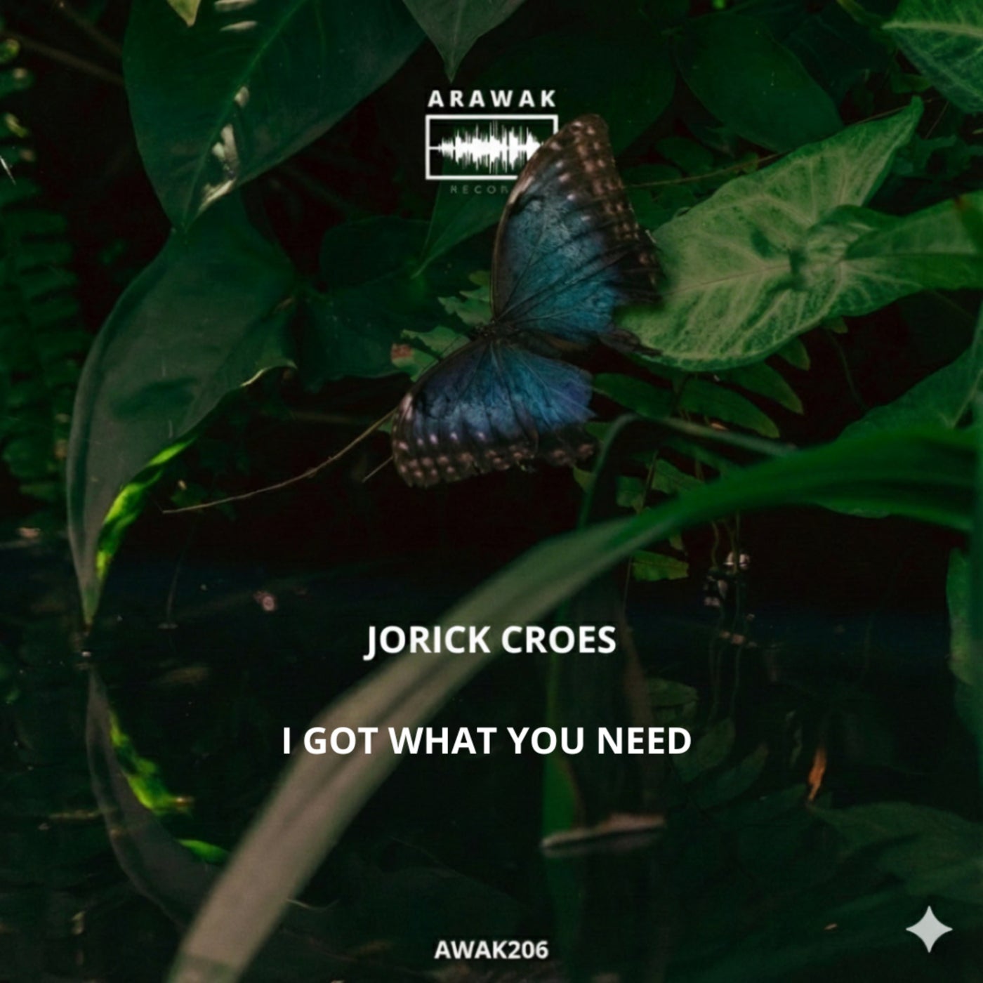 Cover - Jorick Croes - I Got What You Need (Original Mix) Promo tools