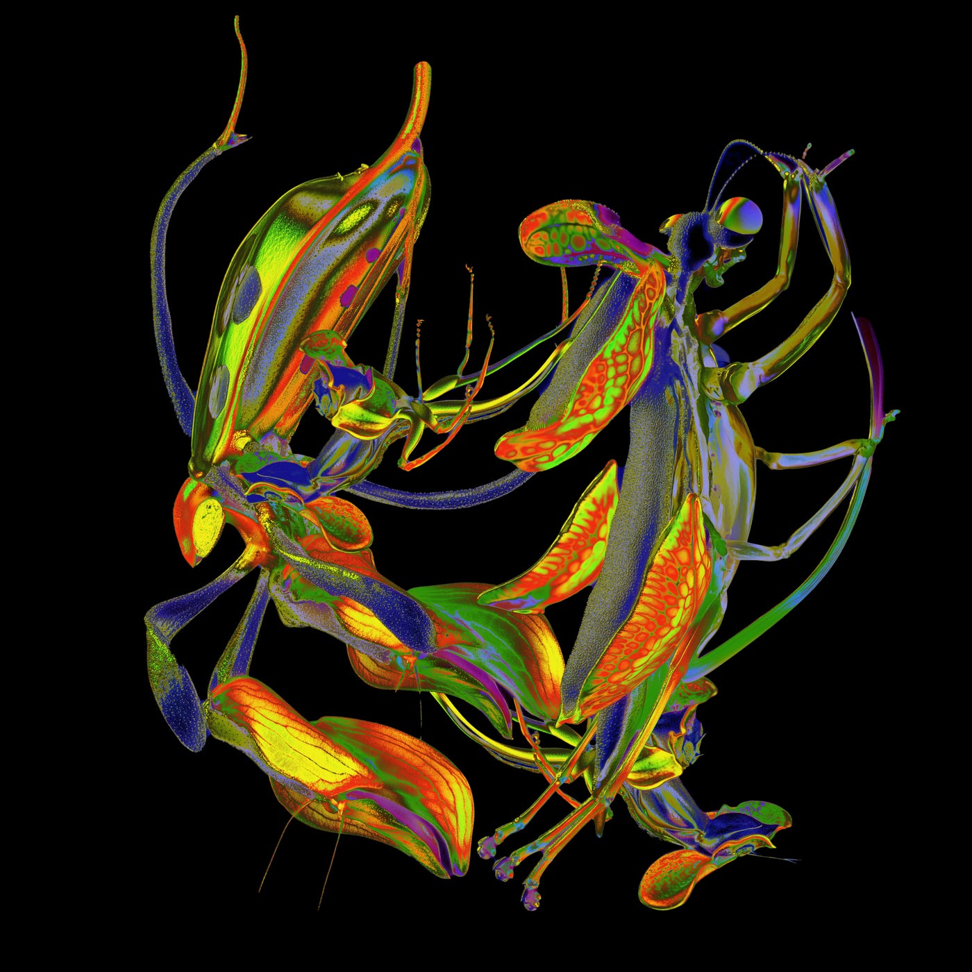 Cover - DJ Nobu - Upekkha (Original Mix) Promo tools