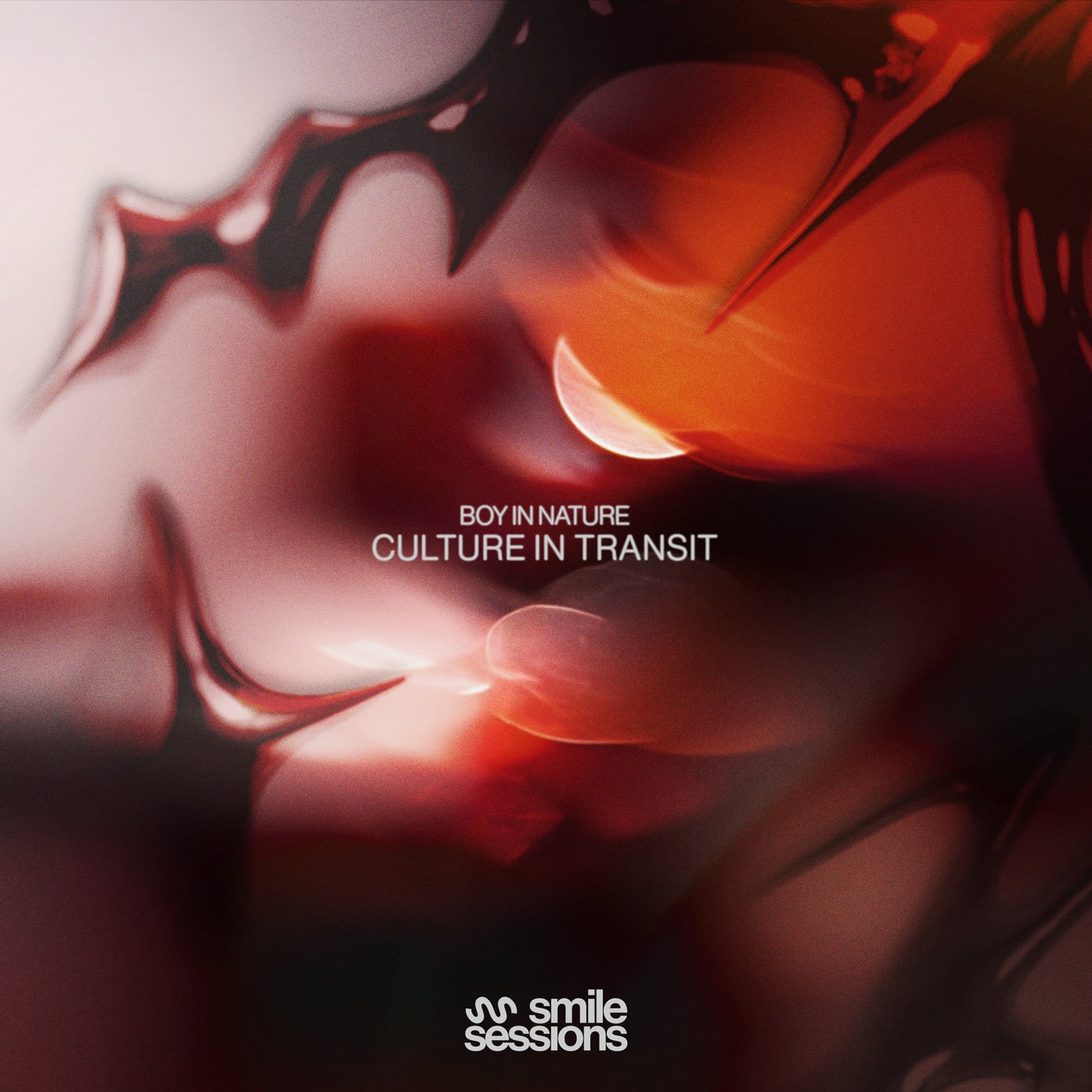 Cover - Boy In Nature - Cellular (Original Mix)