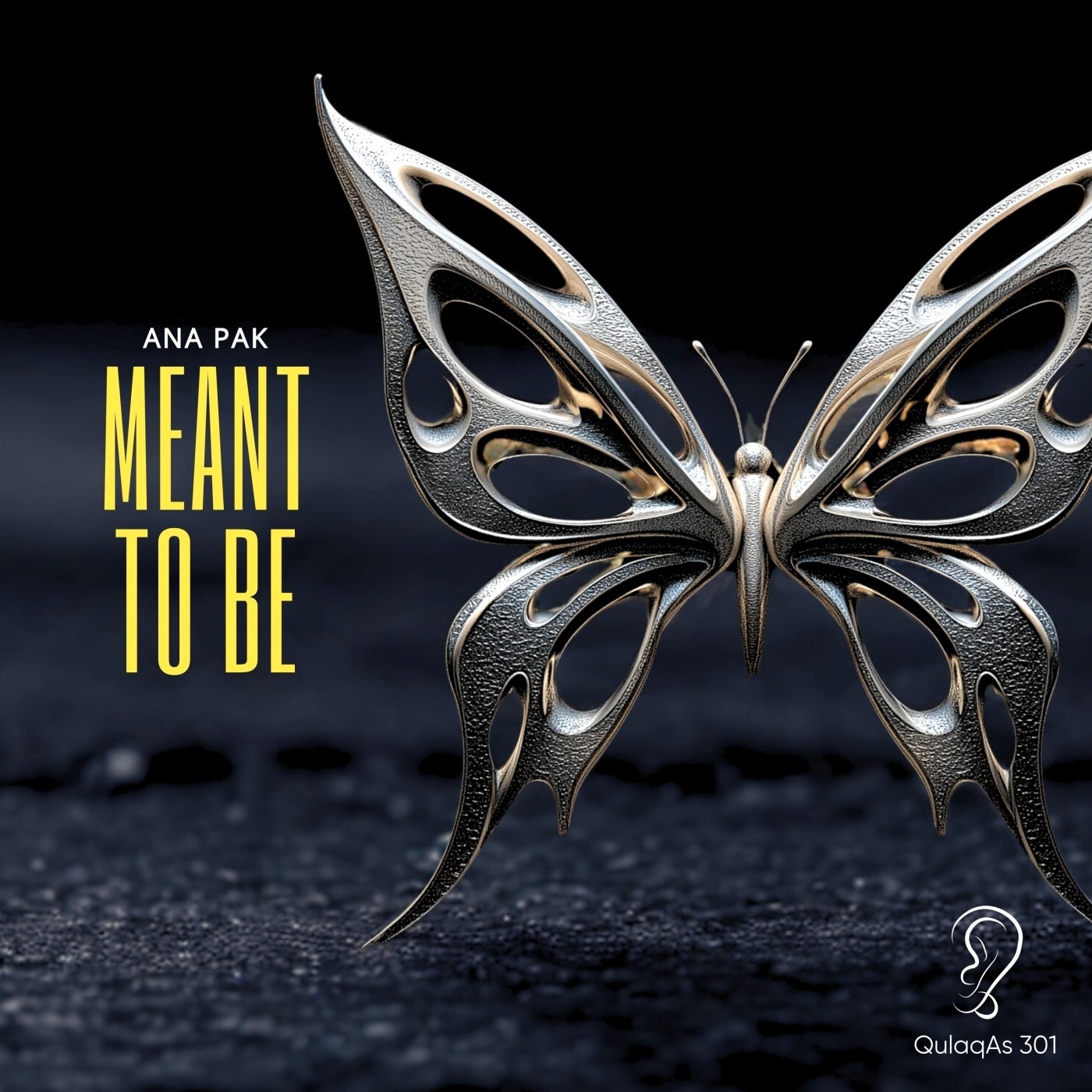 Cover - Ana Pak - Meant to Be (Original Mix)