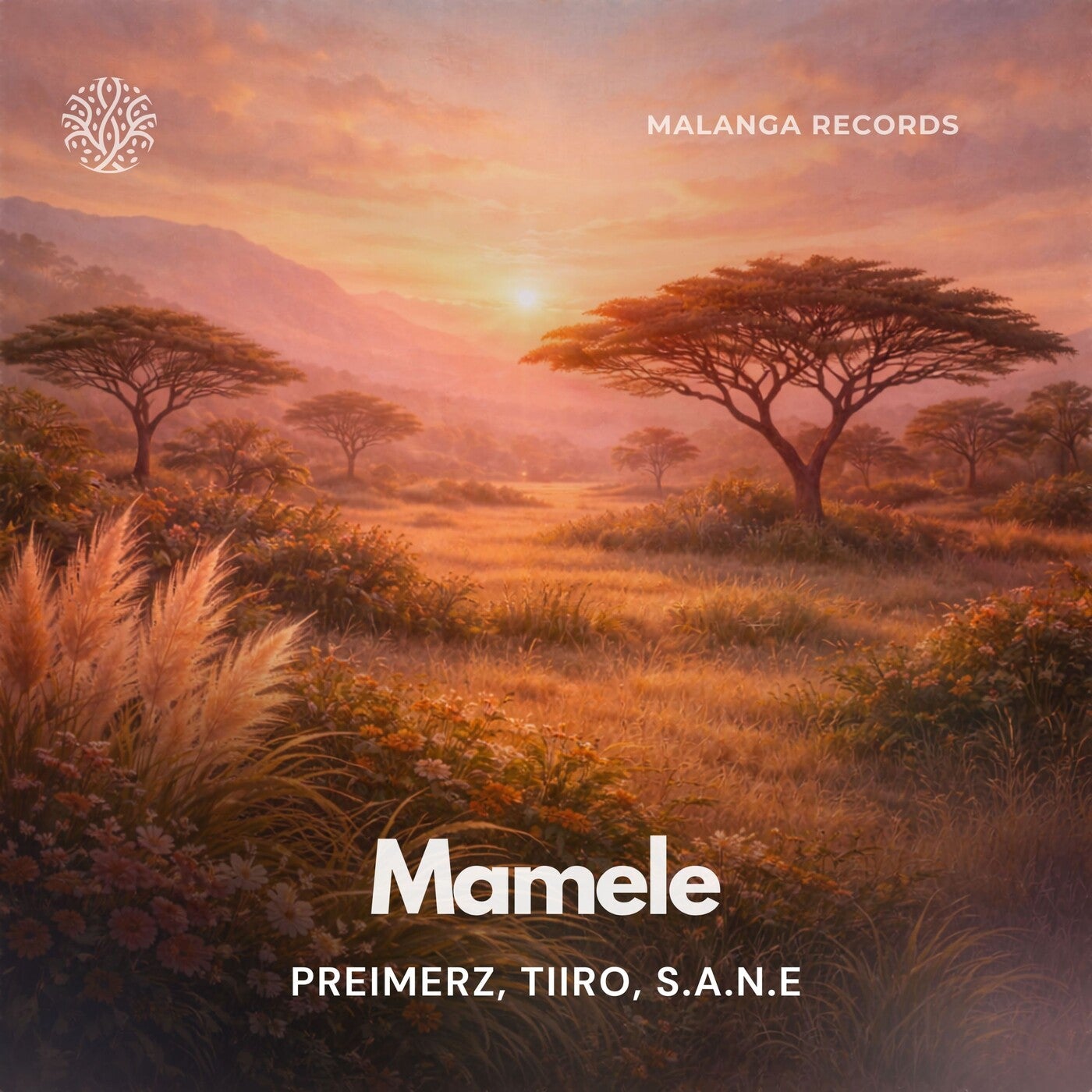 Cover - S.A.N.E, Preimerz, TiiRO - Mamele (Original Mix) Promo tools