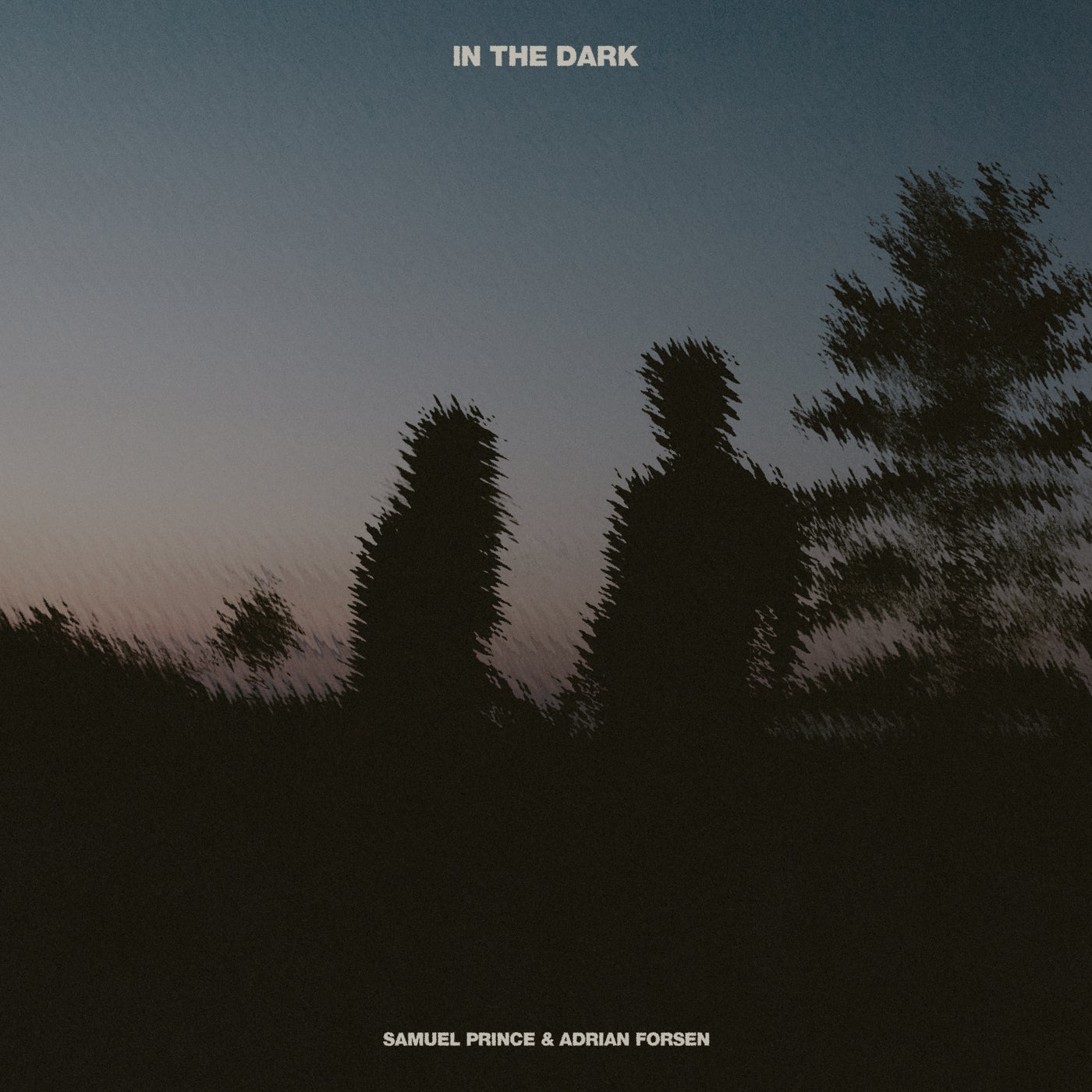 Cover - Adrian Forsén, Samuel Prince - In The Dark (Extended Mix)