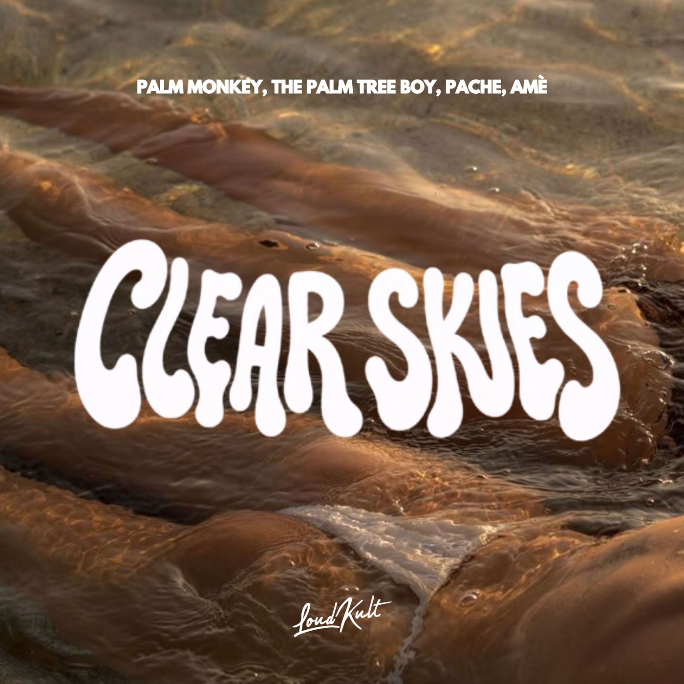 Cover - Pache, The Palm Tree Boy, Palm Monkey, AME (1) - CLEAR SKIES (Original Mix) Promo tools