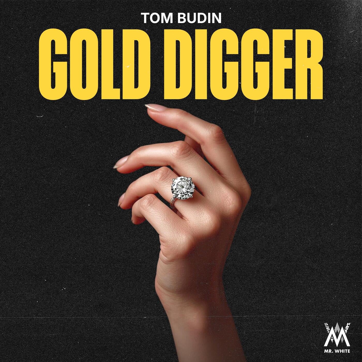Cover - Tom Budin - Gold Digger (Extended Mix) Promo tools