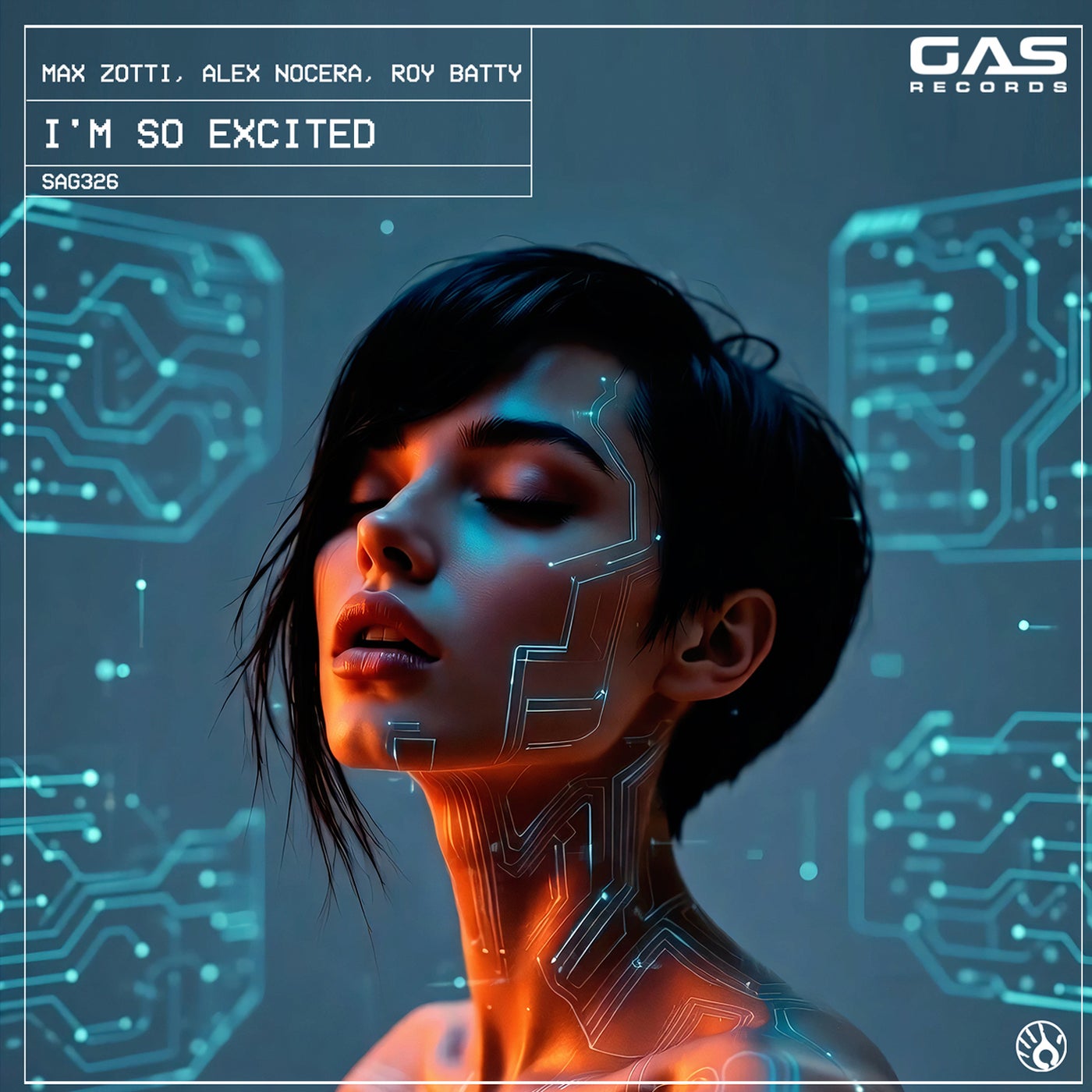 Cover - Alex Nocera, Max Zotti, Roy Batty - I'm So Excited (Extended Mix) Promo tools