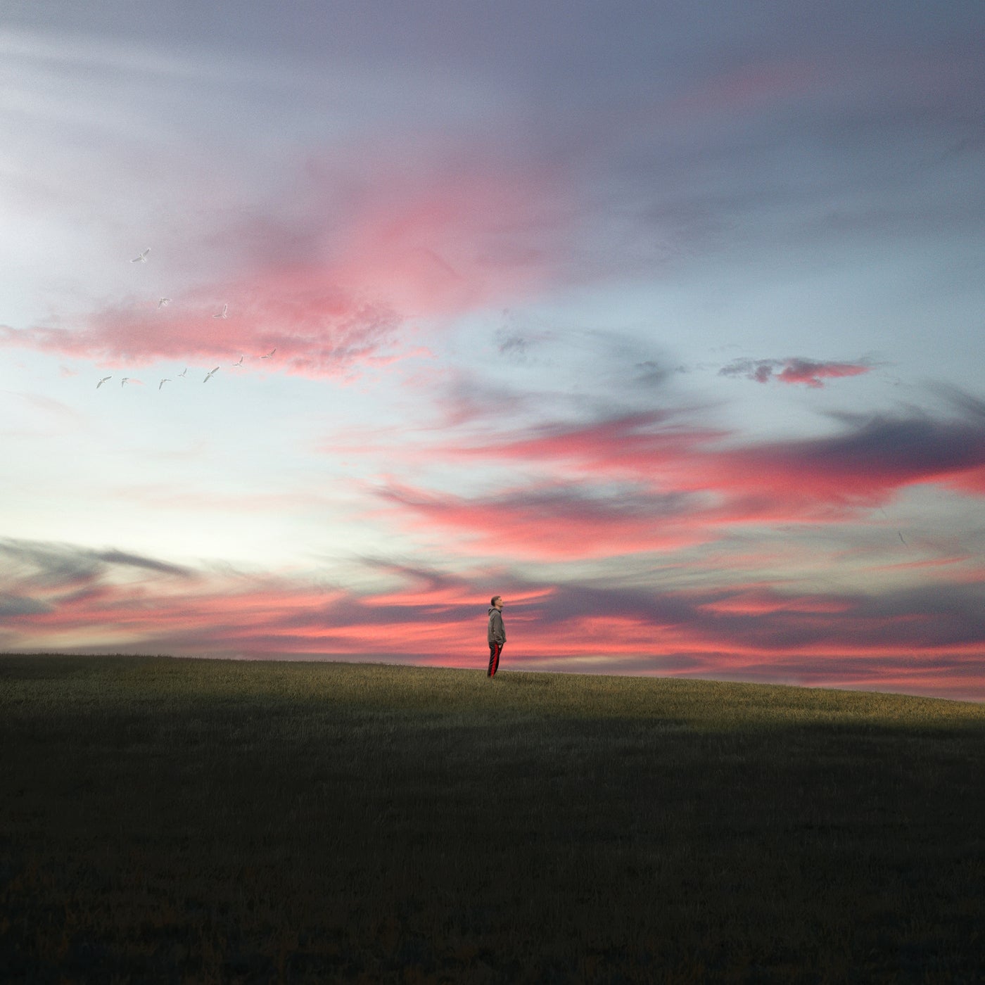 Cover - Ross Quinn - Middle Place (Extended Mix)