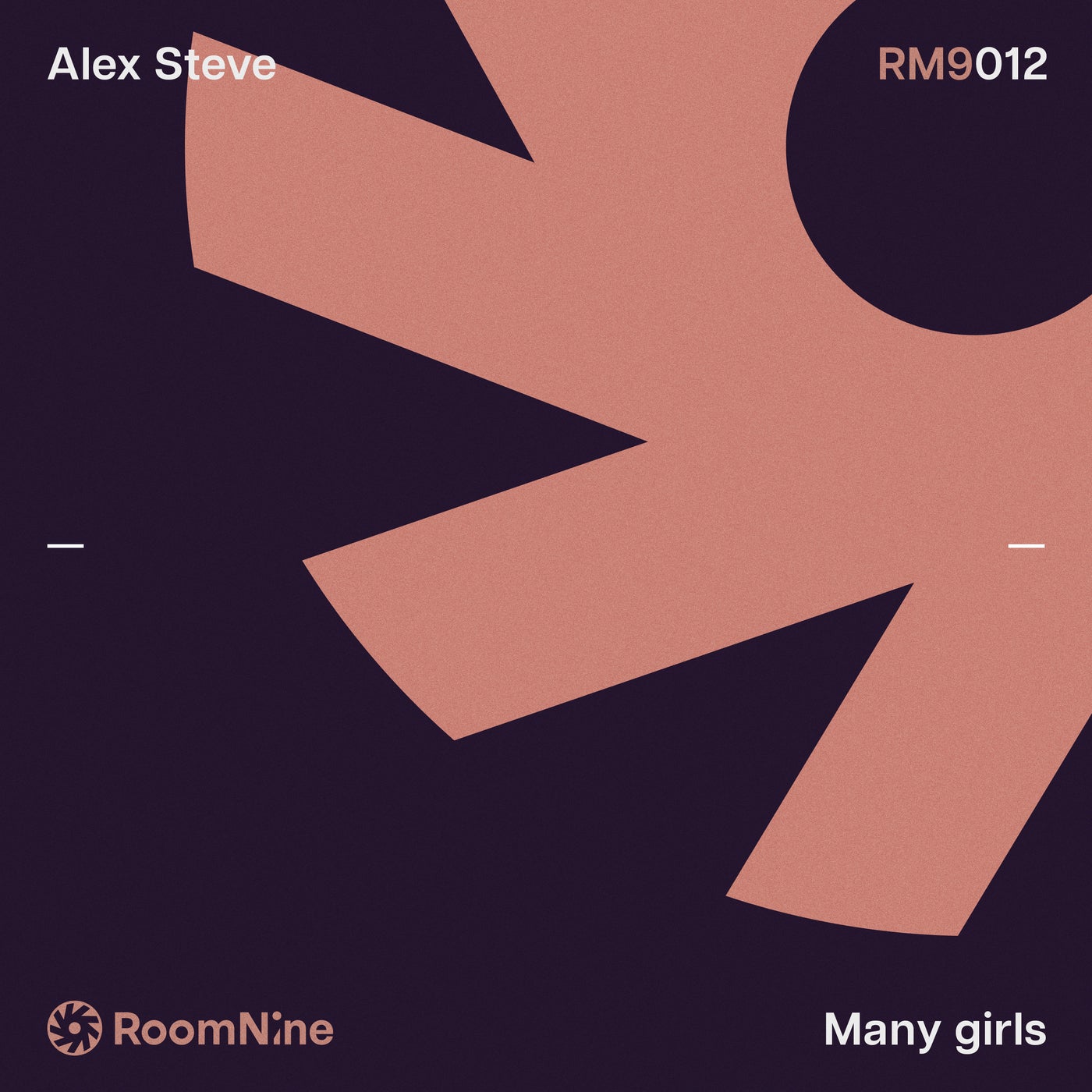 Cover - Alex Steve - Many Girls (Original Mix) Promo tools