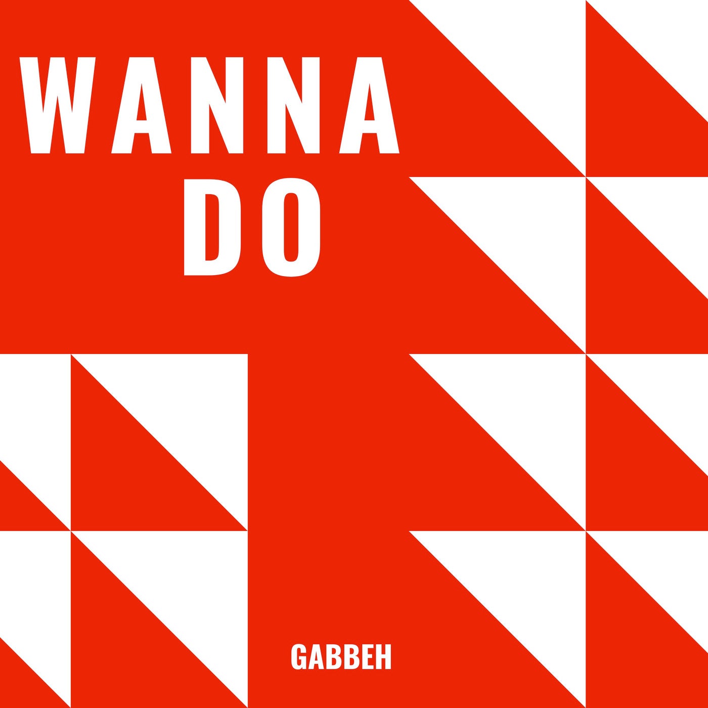 Cover - GABBEH - Wanna Do (Extended Mix) Promo tools