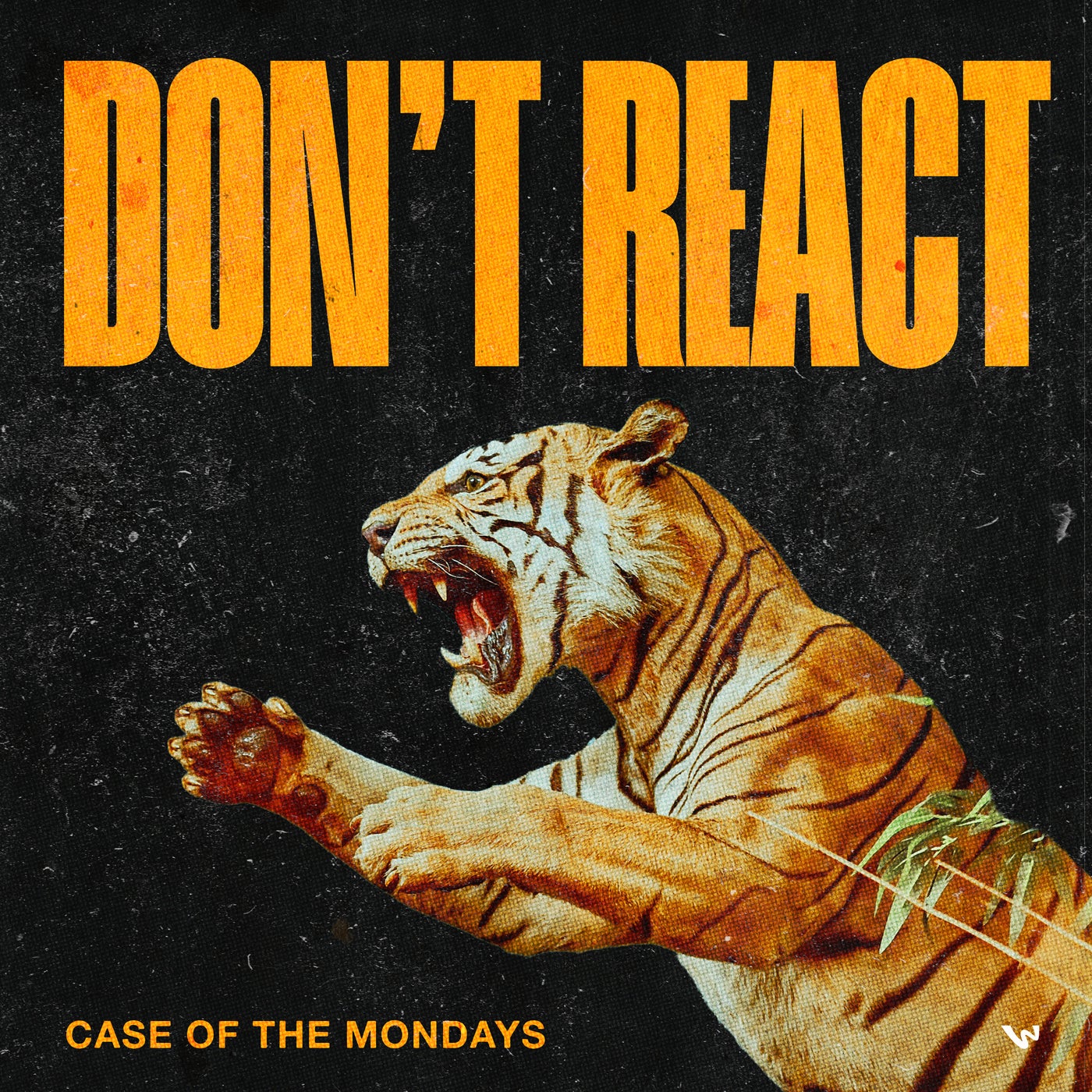 Cover - Case Of The Mondays - Don't React (Extended Mix)