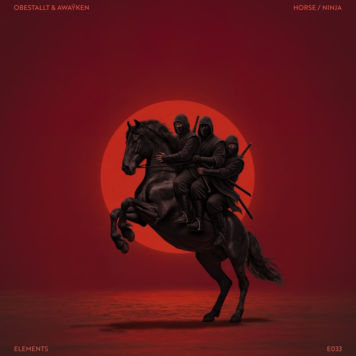 Cover - AWAŸKEN, OBESTALLT - Horse (Original Mix) Promo tools