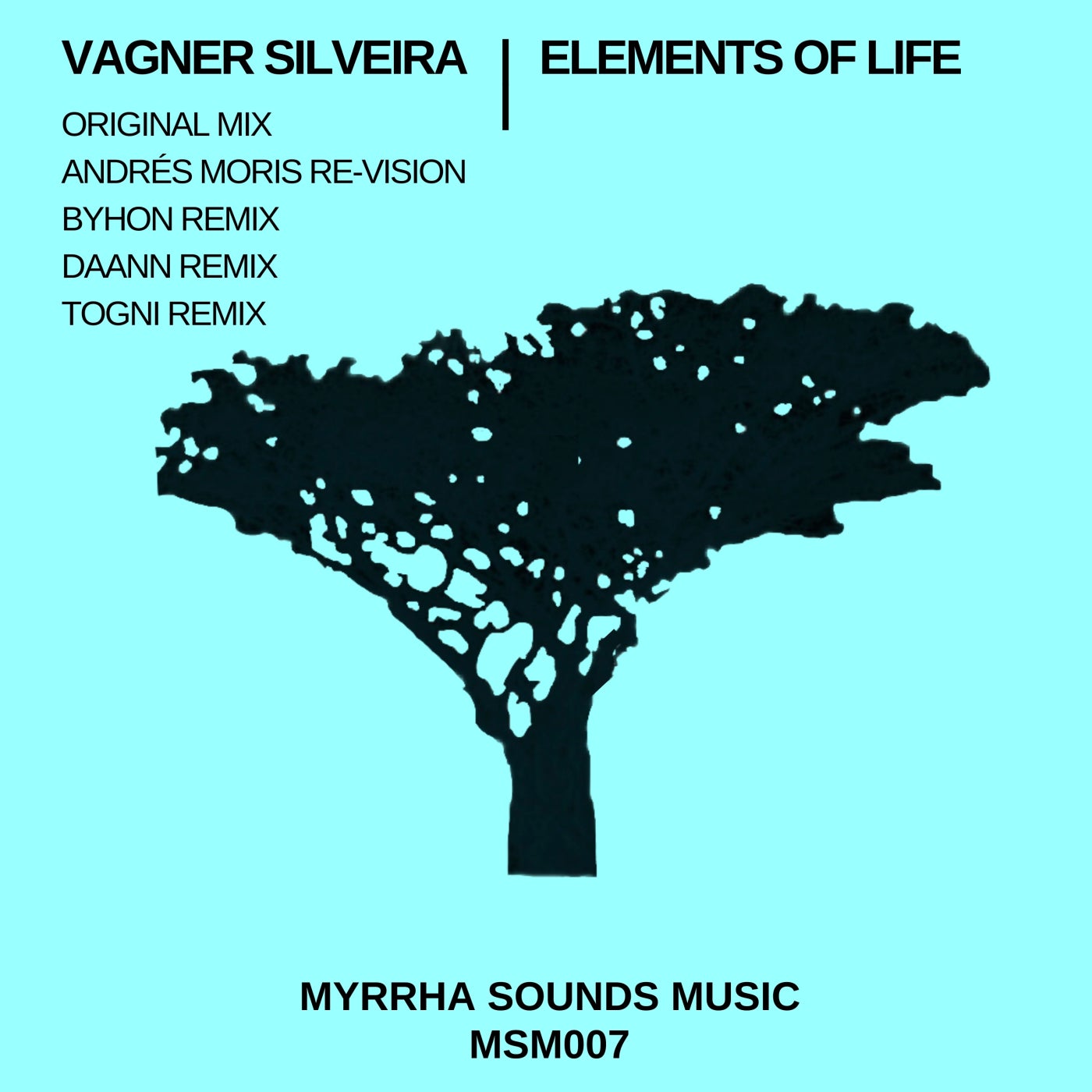 Cover - Vagner Silveira - Elements of Life (Original Mix)