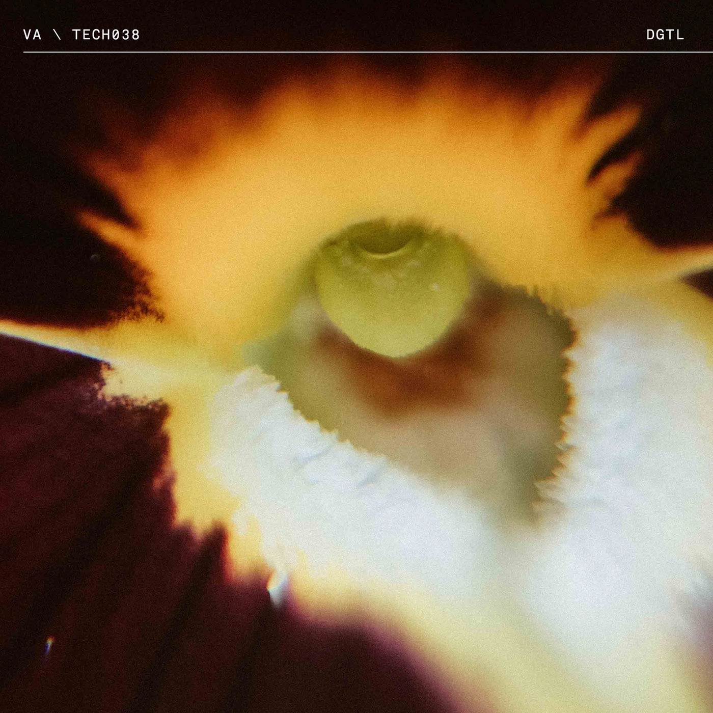 Cover - Mathys Lenne - Seca (Original Mix) Promo tools