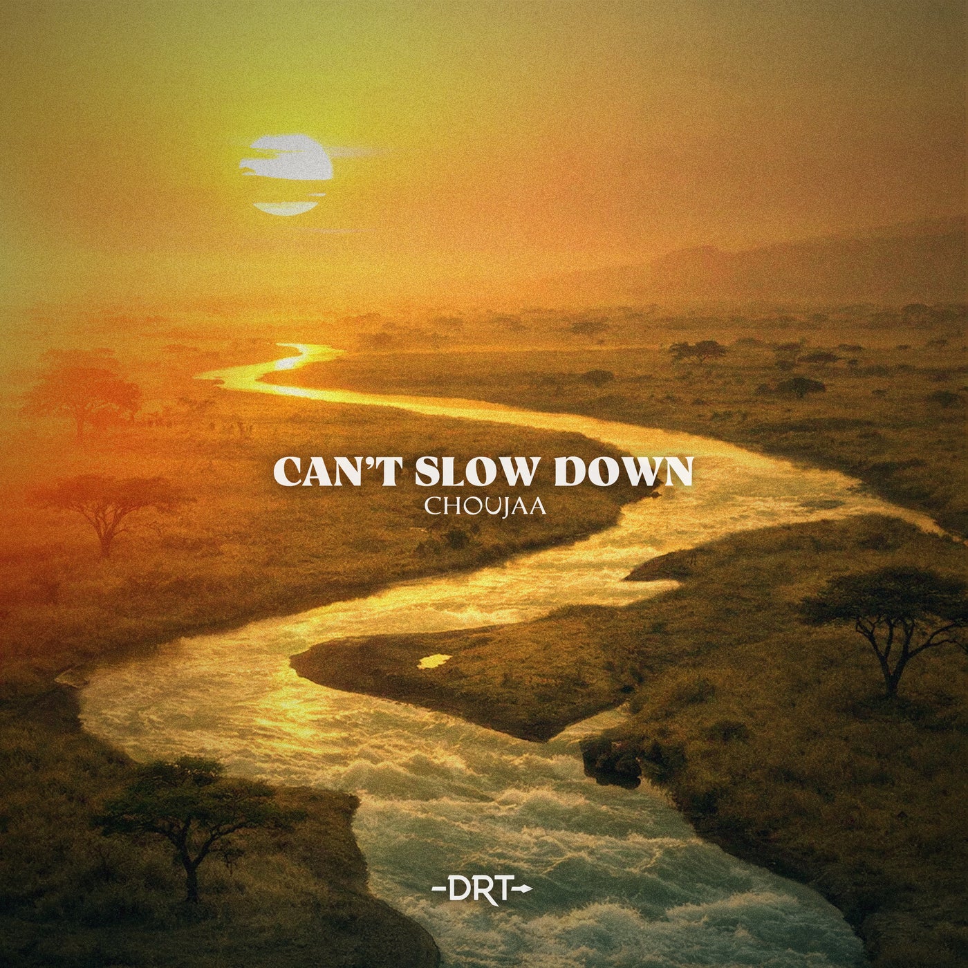 Cover - Choujaa - Can't Slow Down (Extended Mix) Promo tools