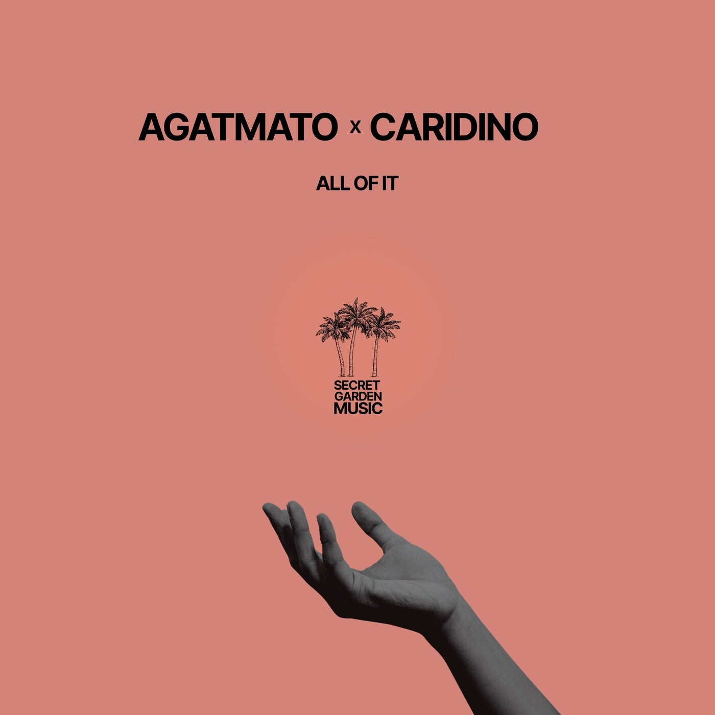 Cover - Agatmato, Caridino - All of It (Extended Mix) Promo tools