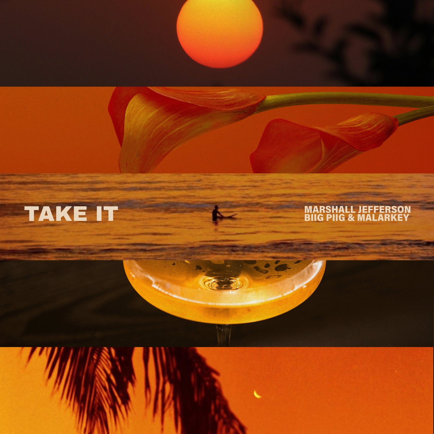 Cover - Marshall Jefferson, MALARKEY, Biig Piig - Take It (Extended Mix) Promo tools