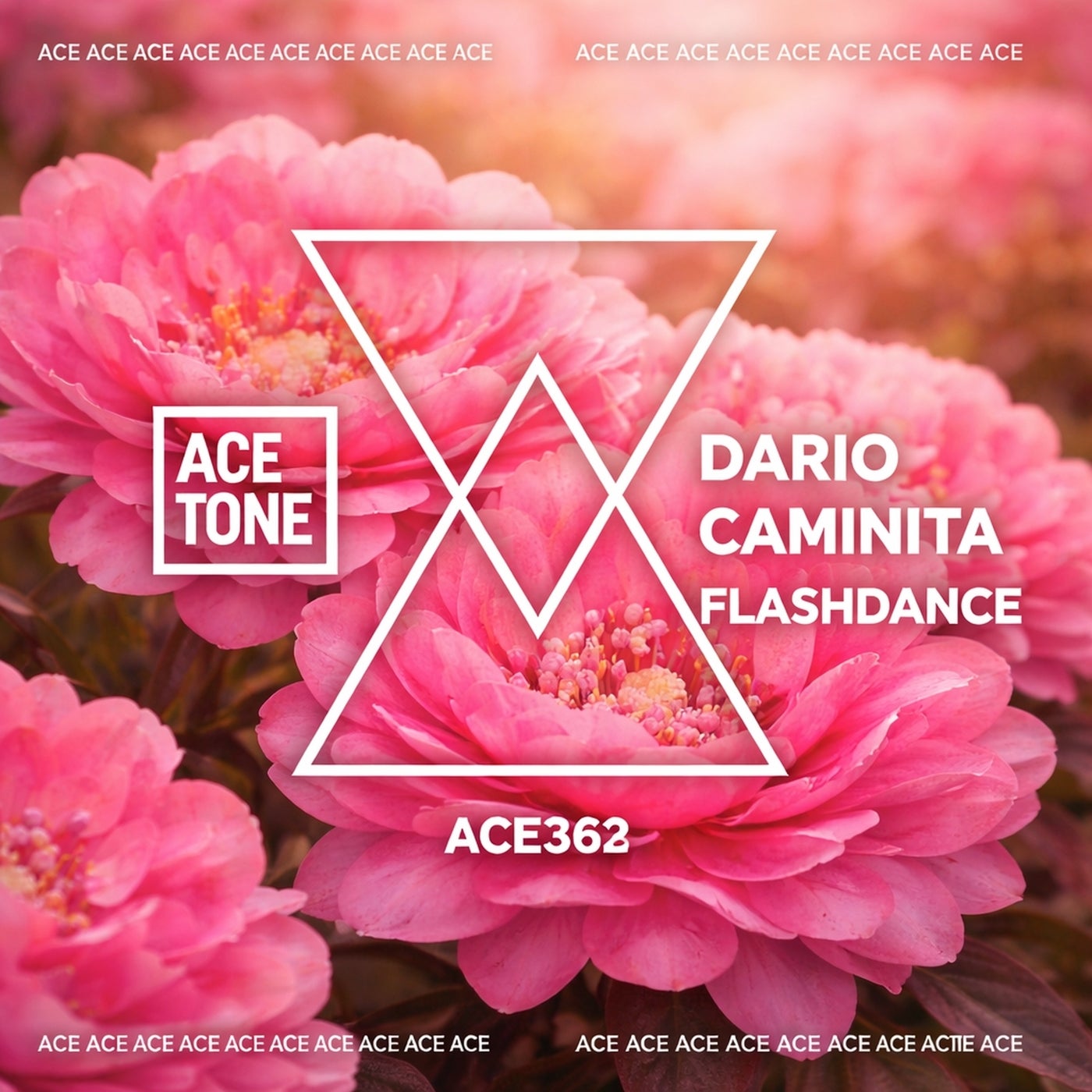 Cover - Dario Caminita - Flashdance (Original Mix) Promo tools