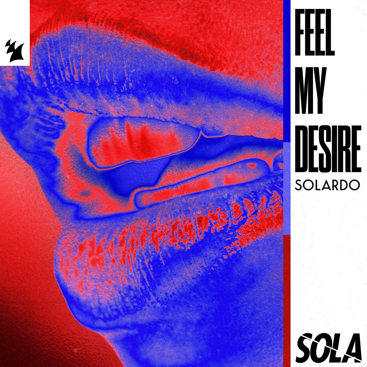 Cover - Solardo - Feel My Desire (Extended Mix) Promo tools