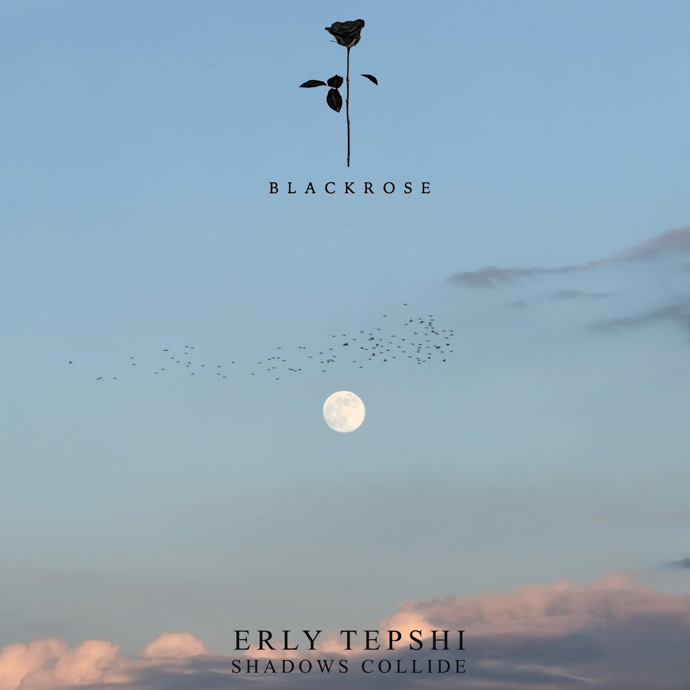 Cover - Erly Tepshi - Shadows Collide (Original Mix) Promo tools