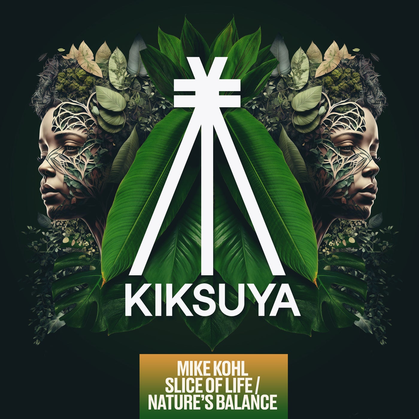 Cover - Mike Kohl - Slice Of Life (Extended Mix) Promo tools