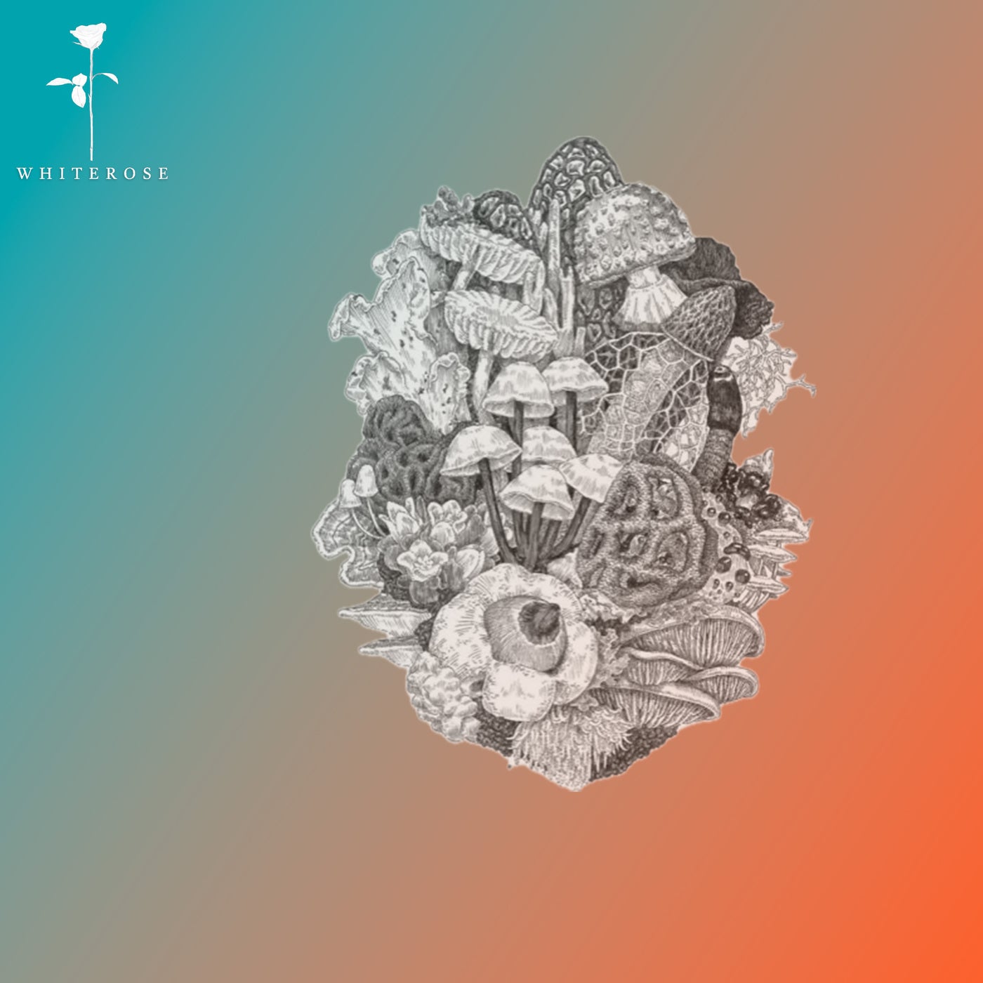 Cover - Boy From Suburbs - Armada (Original Mix) Promo tools