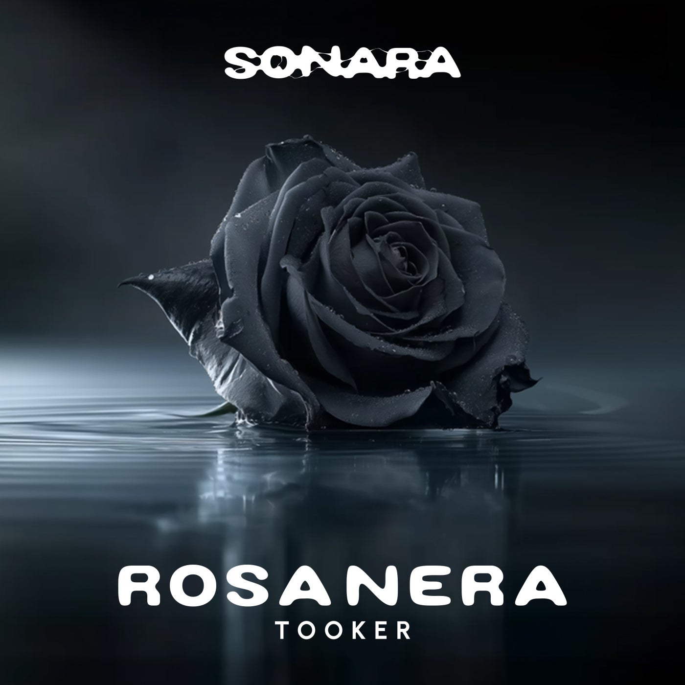 Cover - Tooker - Rosanera (Extended Mix) Promo tools