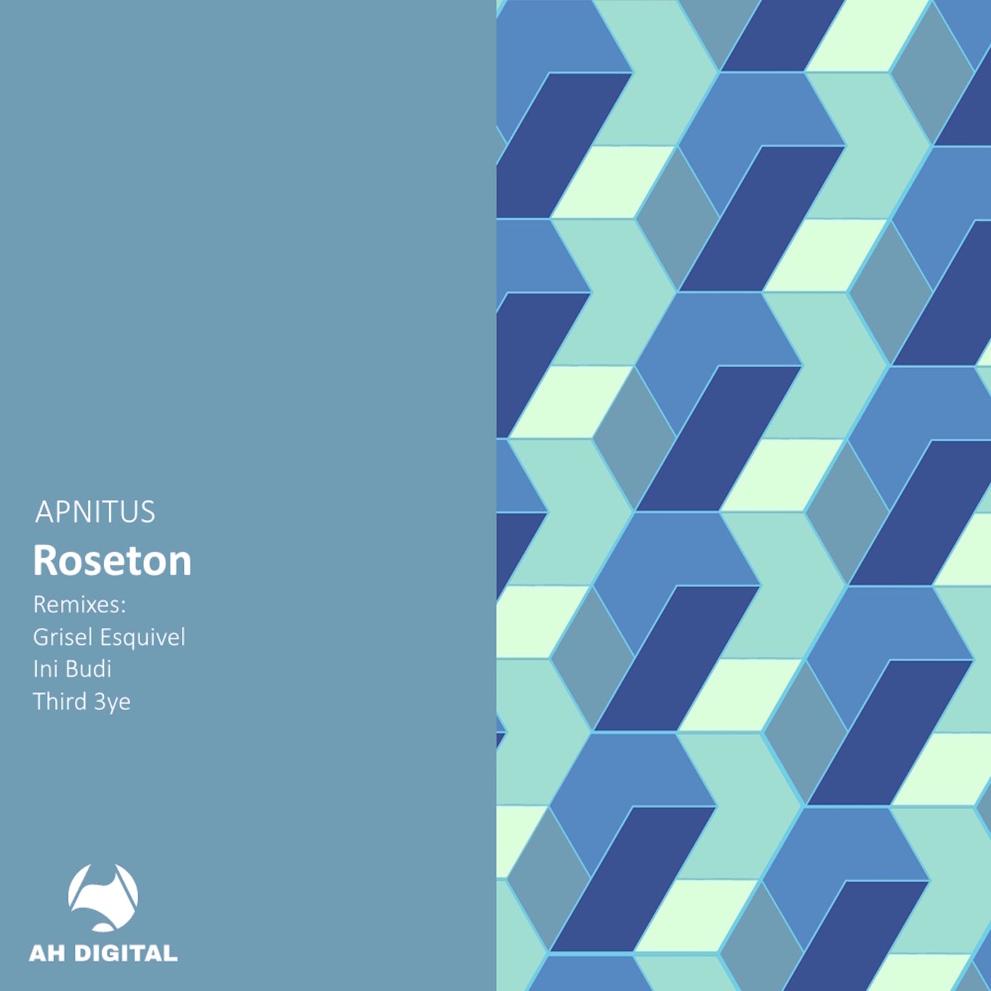 Cover - APNITUS - Roseton (Ini Budi Remix) Promo tools