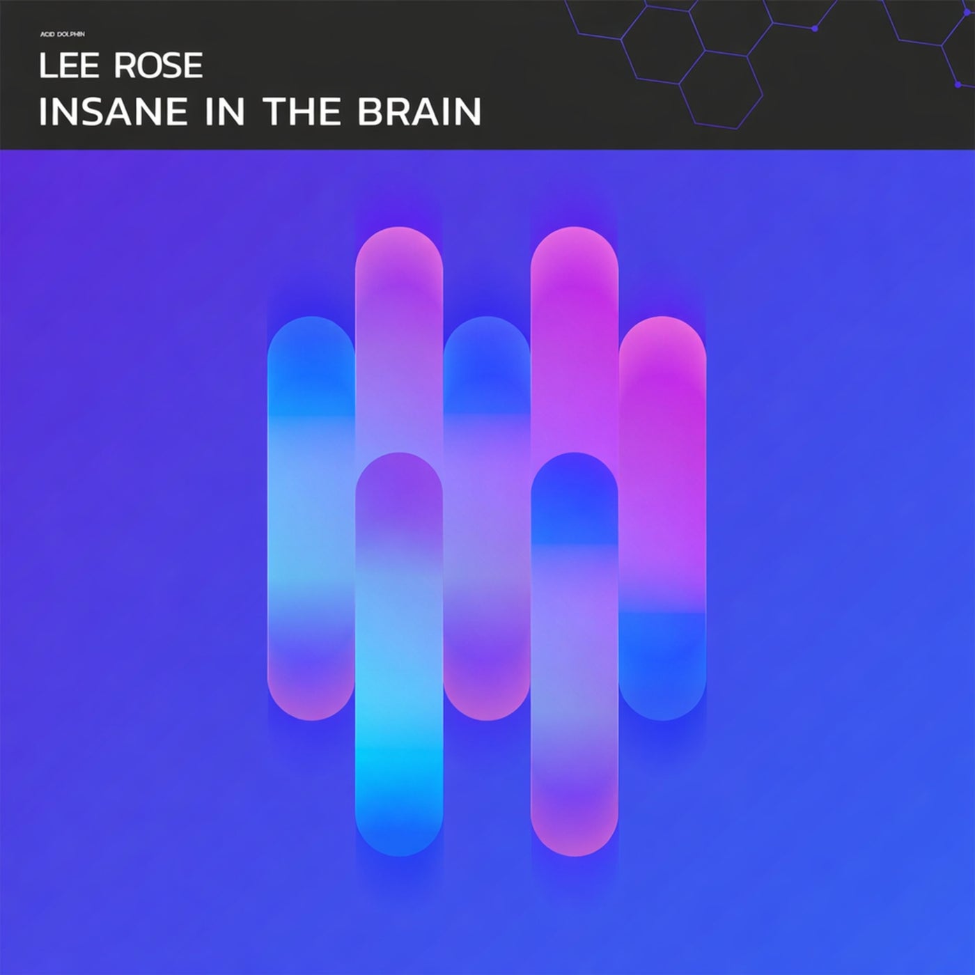 Cover - Lee Rose - Insane in the Brain (Extended Mix) Promo tools