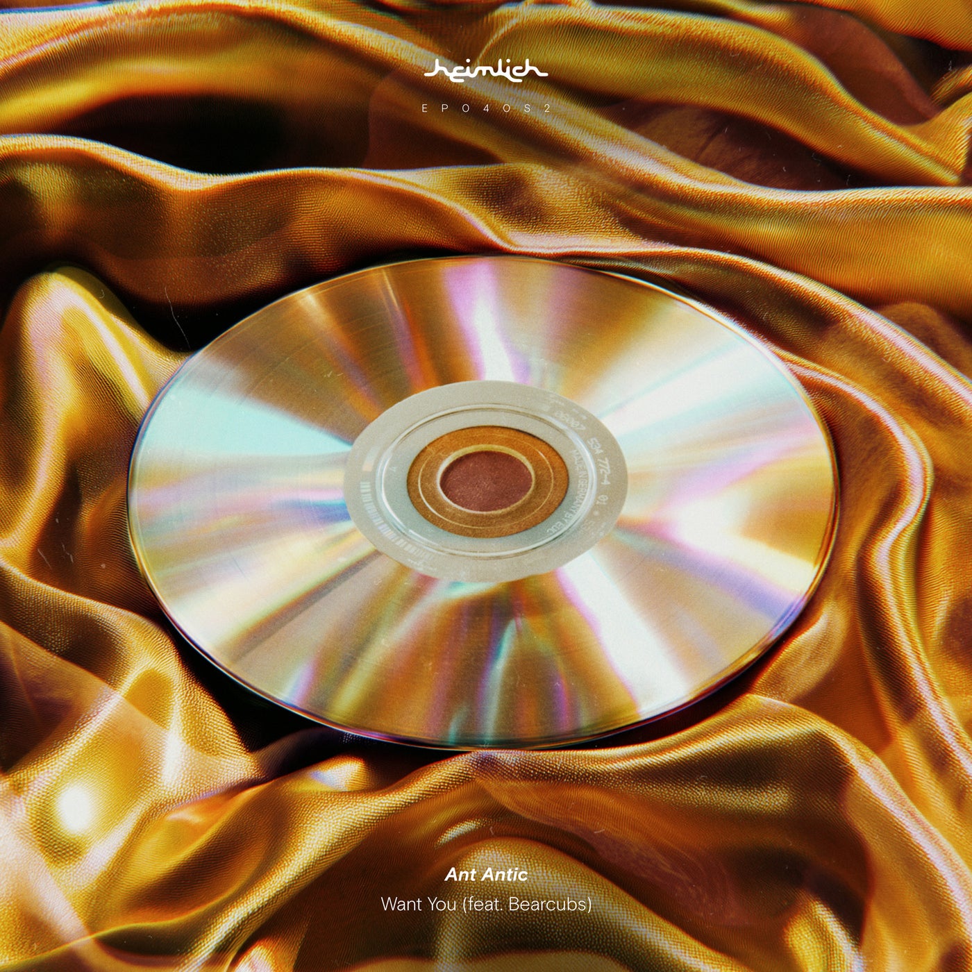 Cover - Bearcubs, Ant Antic - Want You (Deep Ändi Remix) Promo tools