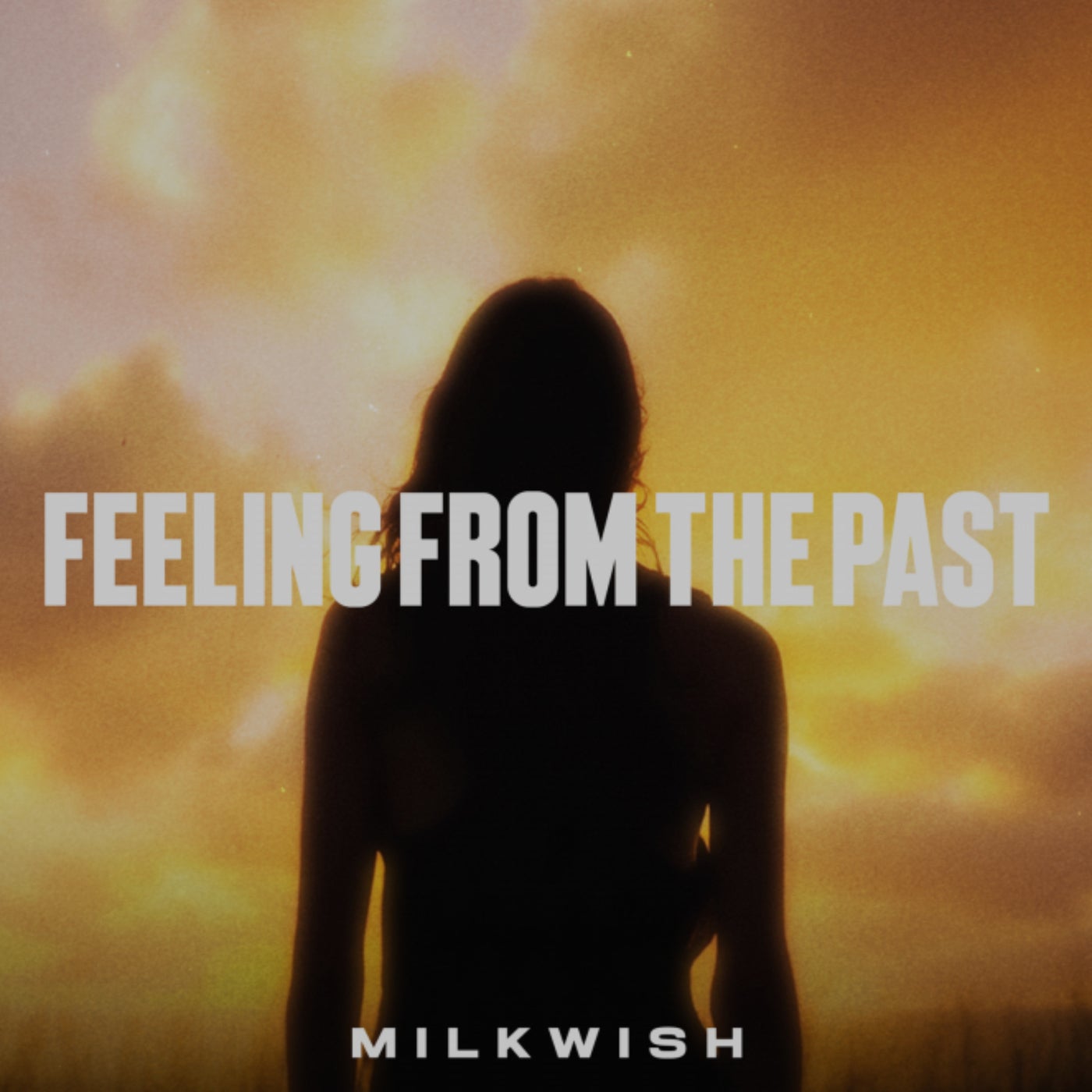 Cover - Milkwish - Feeling From The Past (Extended Mix) Promo tools