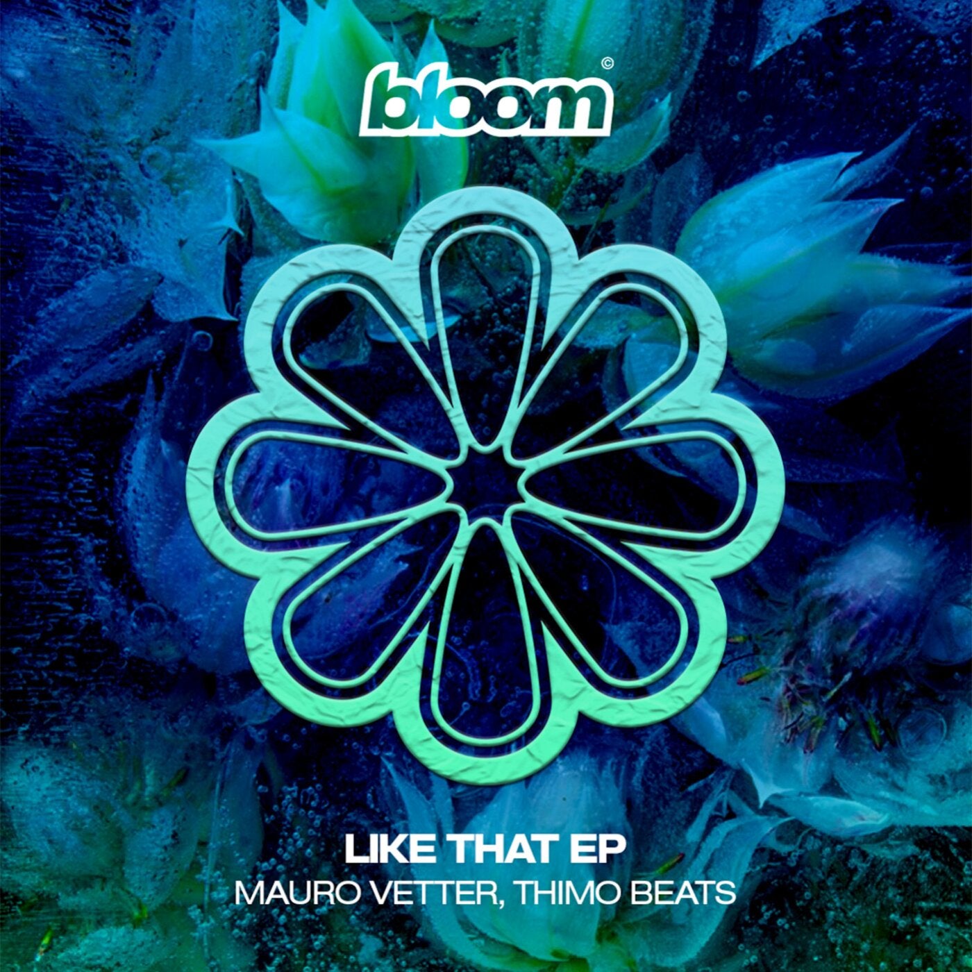 Cover - Mauro Vetter, Thimo Beats - Dance All Night (Original Mix)