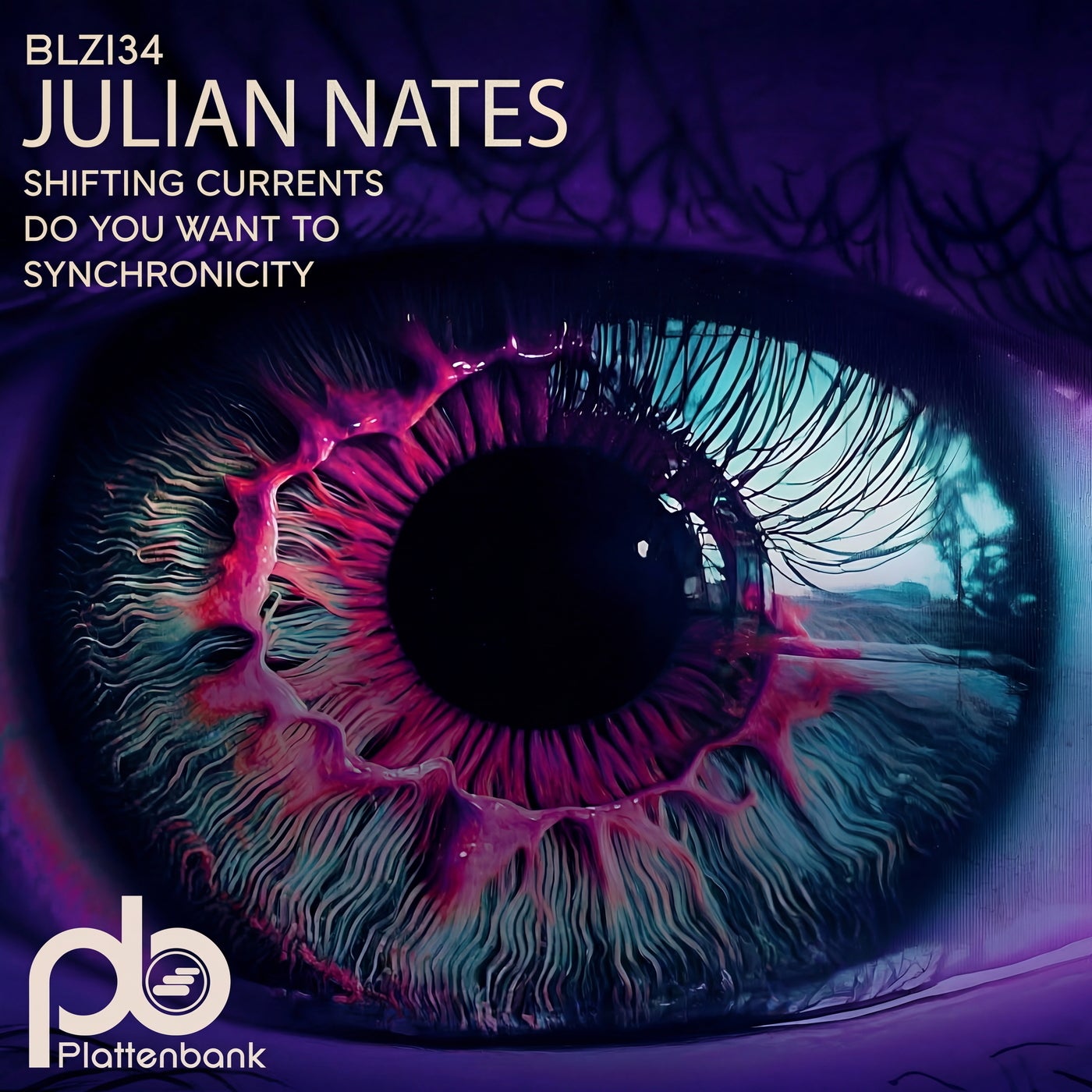 Cover - Julian Nates - Do You Want To (Original Mix) Promo tools
