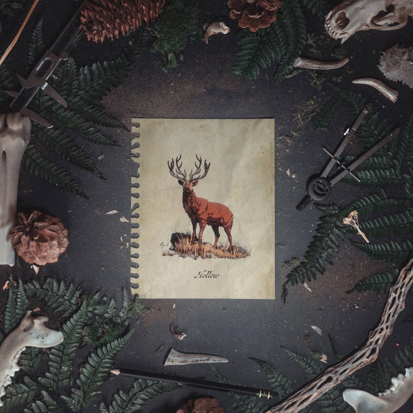 Cover - Of The Trees, LYNY - Hollow (Original Mix) Promo tools