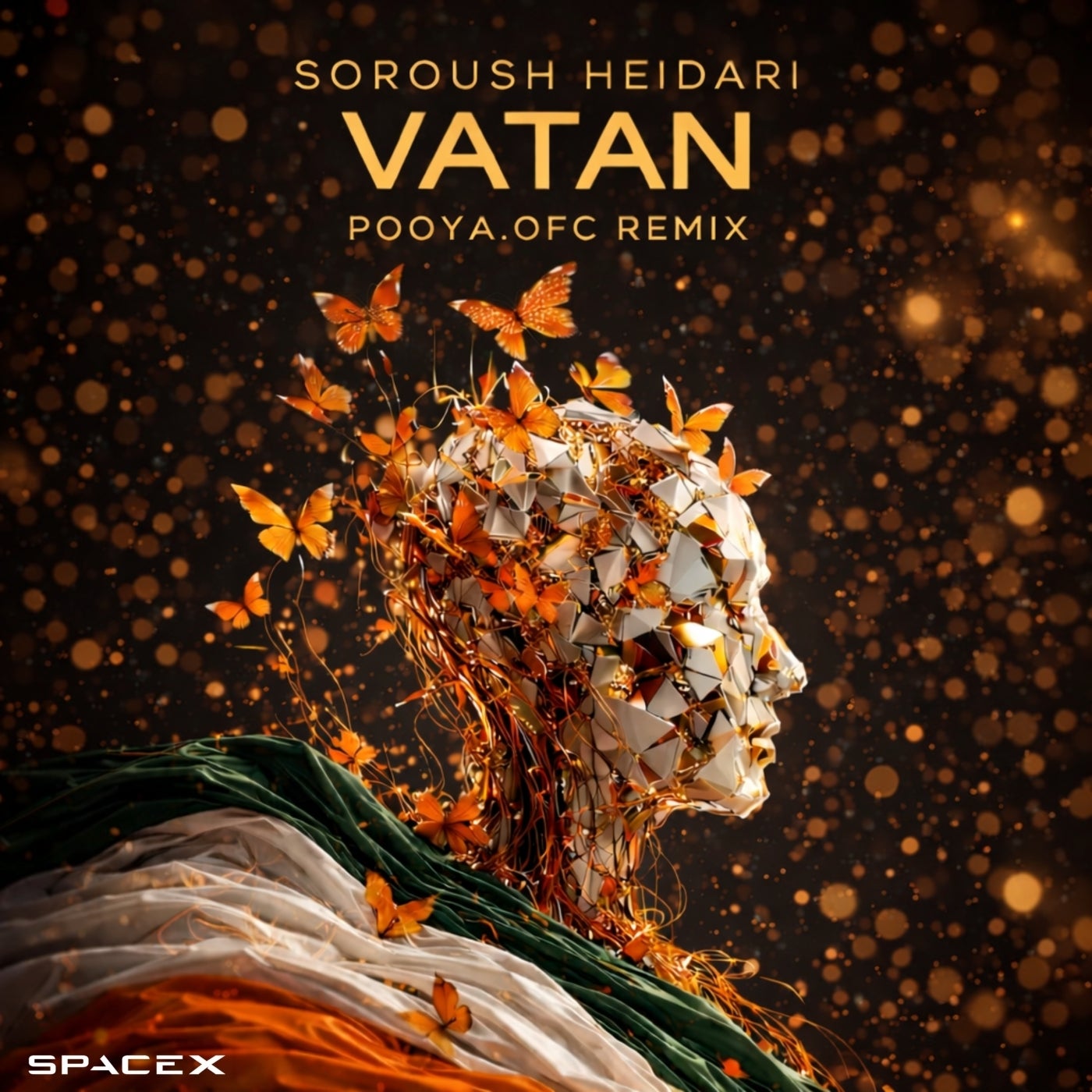 Cover - Soroush Heidari - Vatan (Pooya.ofc Remix) Promo tools