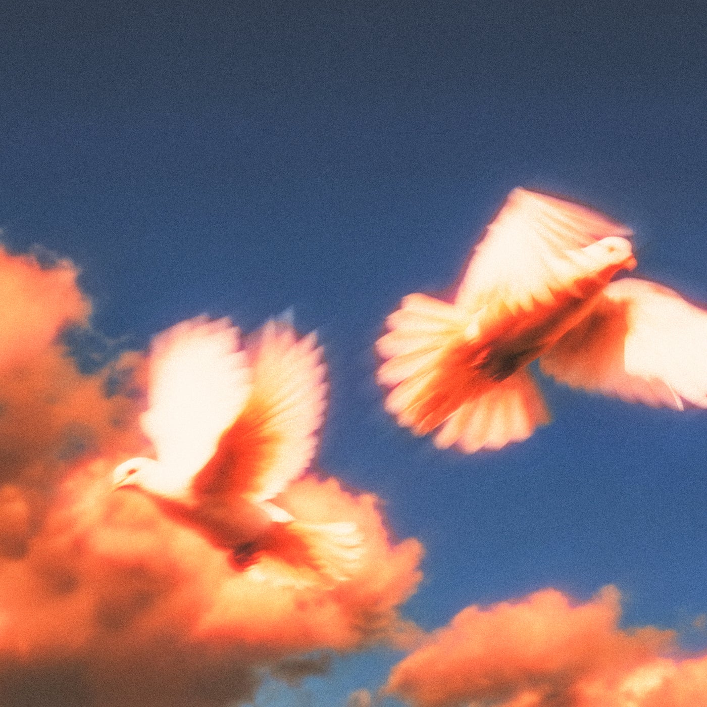 Cover - Drama - Platonic Romance (Azzecca Remix - Extended) Promo tools