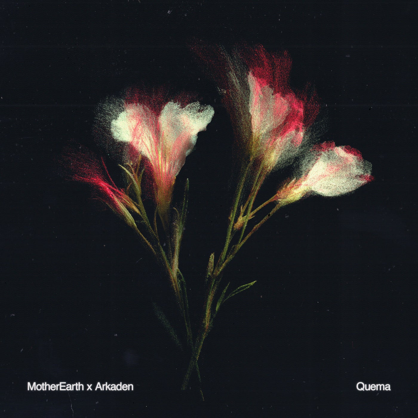 Cover - MotherEarth - Compromised (Extended Mix) Promo tools