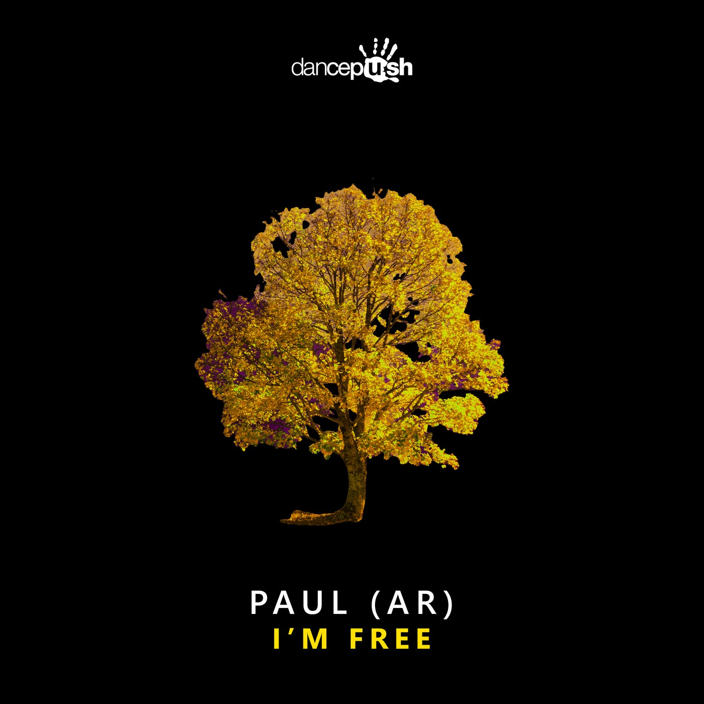 Cover - PAUL (AR) - I'm Free (Extended Mix) Promo tools