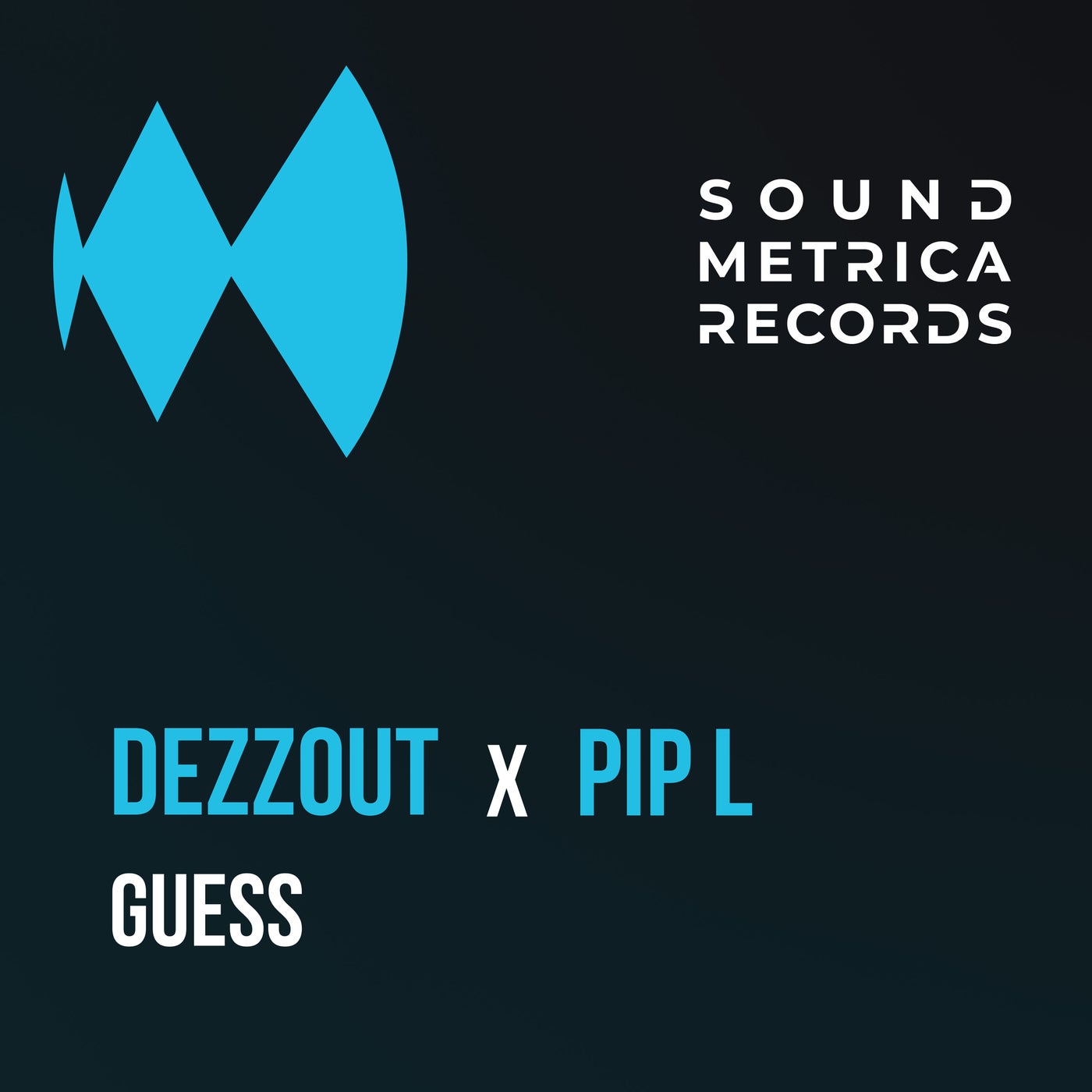 Cover - DEZZOUT, Pip L - Guess (Original Mix) Promo tools