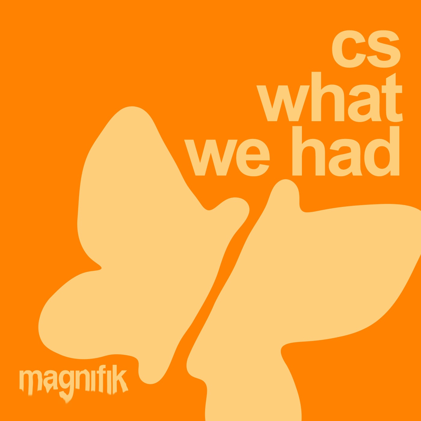 Cover - CS (AE) - What We Had (Original Mix) Promo tools