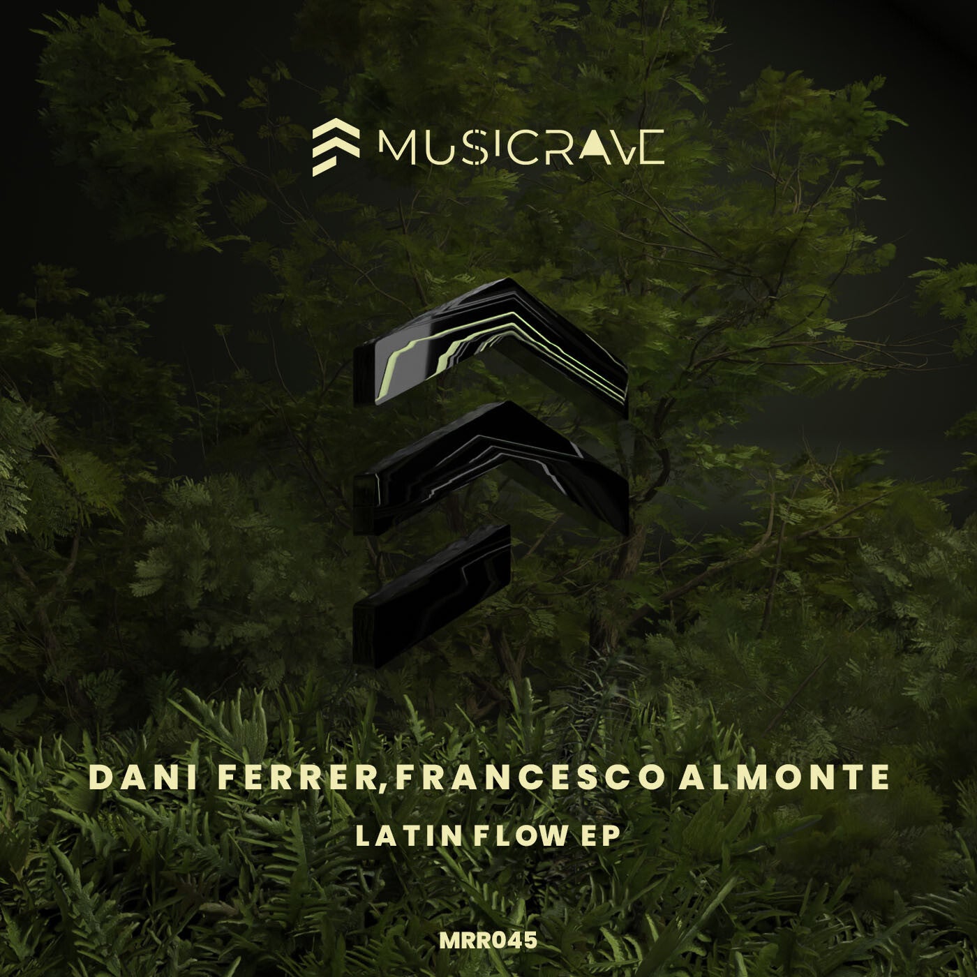 Cover - Francesco Almonte, Dani Ferrer - Mi Conga (Original Mix) Promo tools