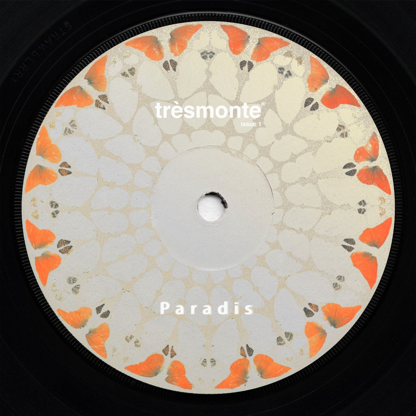 Cover - Thomas Asselman, morisan - DIVINE (Original Mix) Promo tools